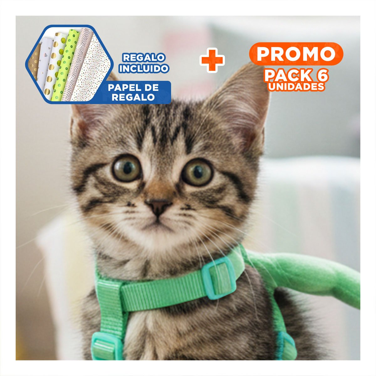 PACK6 PROTECTOR AJUSTABLE TURQUESA PET CON ALITAS PEQUENAS COMODO Y+PAPEL REGALO - 1