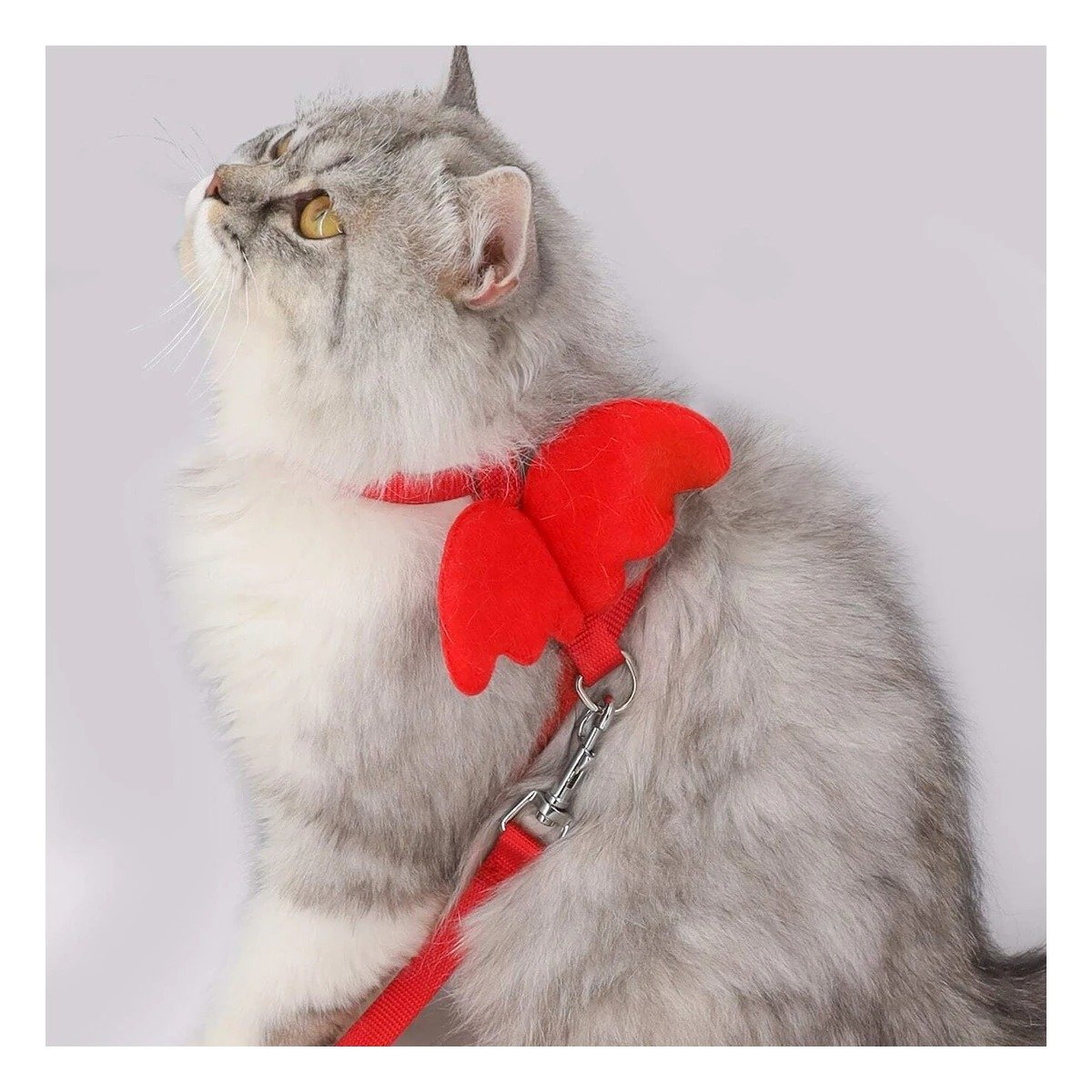 PACK6 ARNES PET ROJO CON ALITAS PEQUENAS PARA PASEOS DIARIOS Y+REGALO STICKER - 3