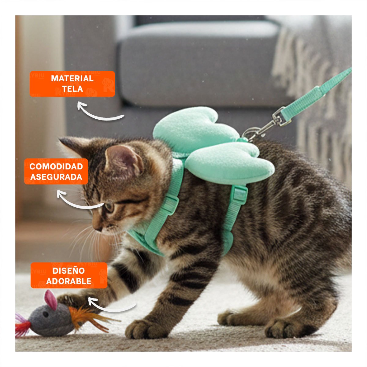 PACK6 ARNES PET TURQUESA CON ALITAS PEQUENAS PARA PASEOS DIARIOS Y+REGALO STICKER - 5