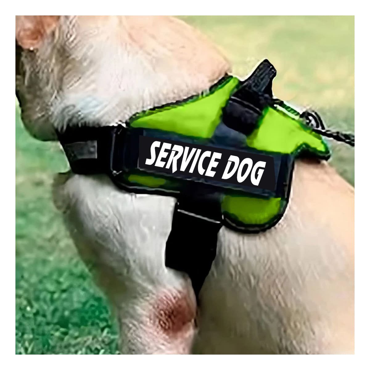 PACK4 CHALECO PECHERA SERVICE DOG TALLA M VERDE COMODO Y+PAPEL REGALO - 5