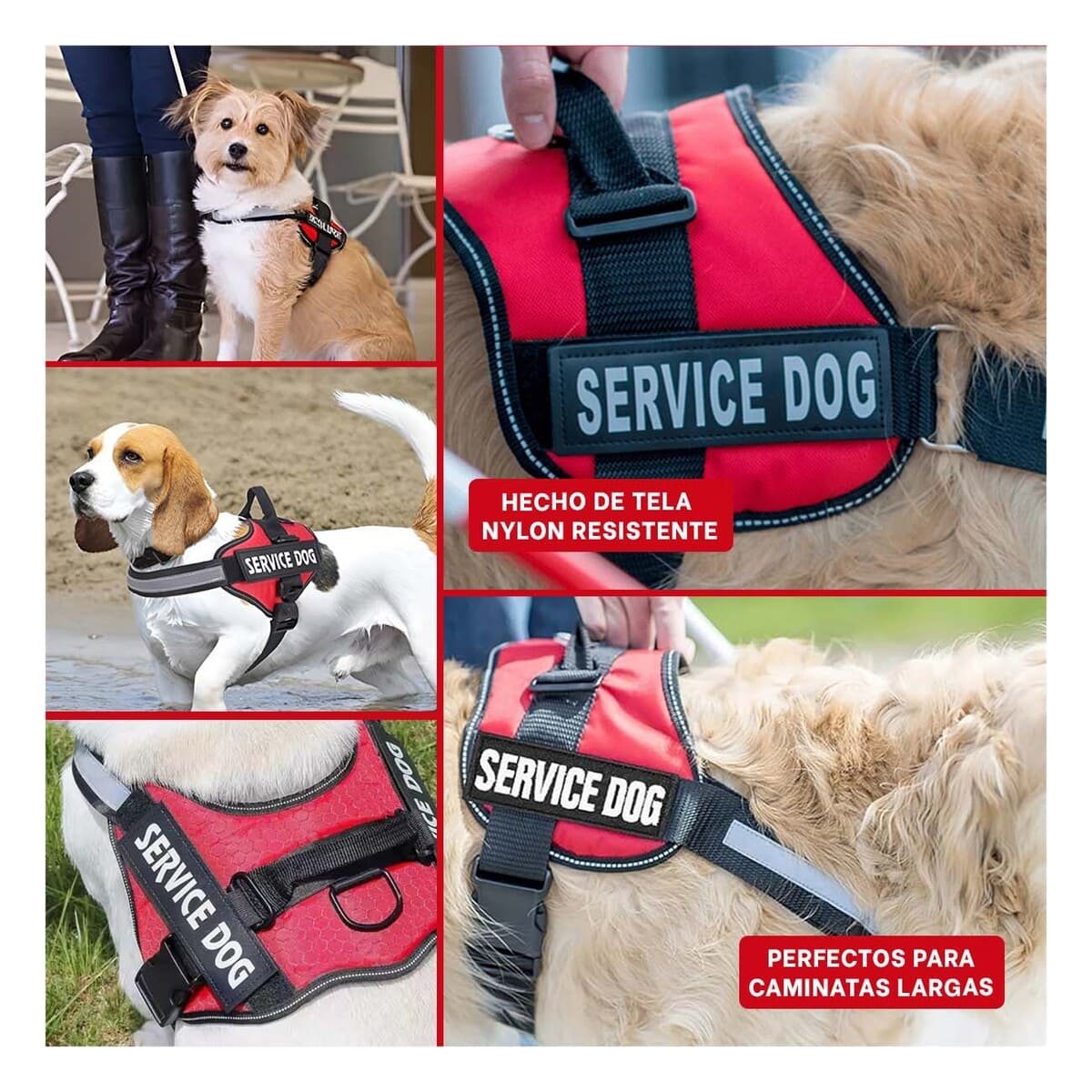 PACK2 ARNES CON ASA DE ENTRENAMIENTO SERVICE DOG TALLA S ROJO Y+PAPEL REGALO - 3