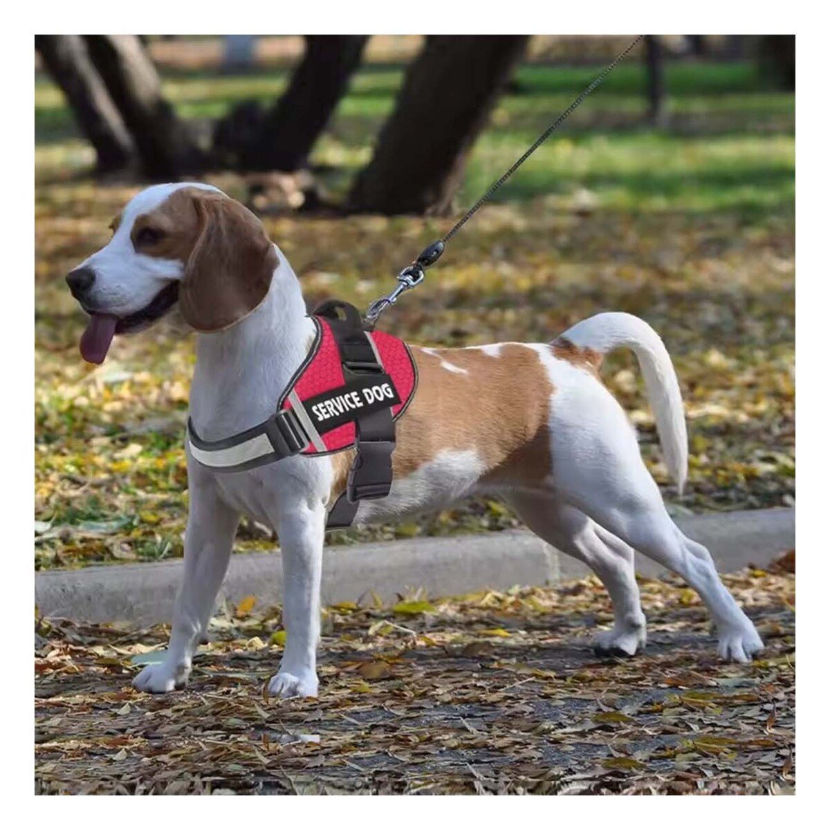 PACK2 ARNES CON ASA DE ENTRENAMIENTO SERVICE DOG TALLA S ROJO Y+PAPEL REGALO - 5