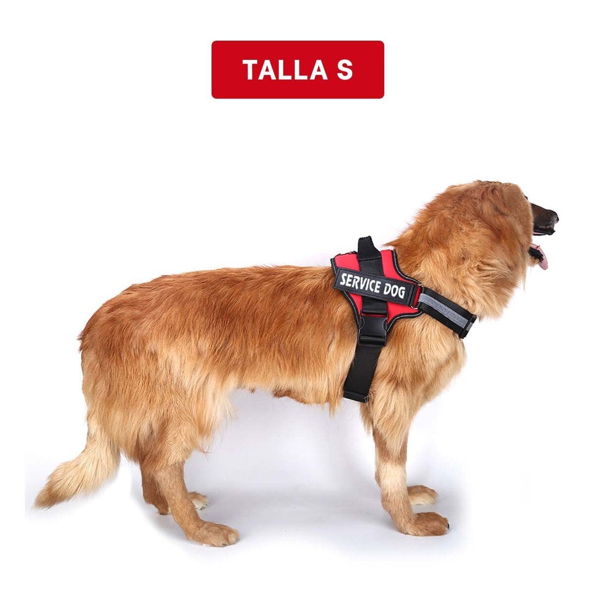 PACK6 PECHERA CON ASA FIRME SERVICE DOG TALLA S ROJO Y+REGALO STICKER - 4