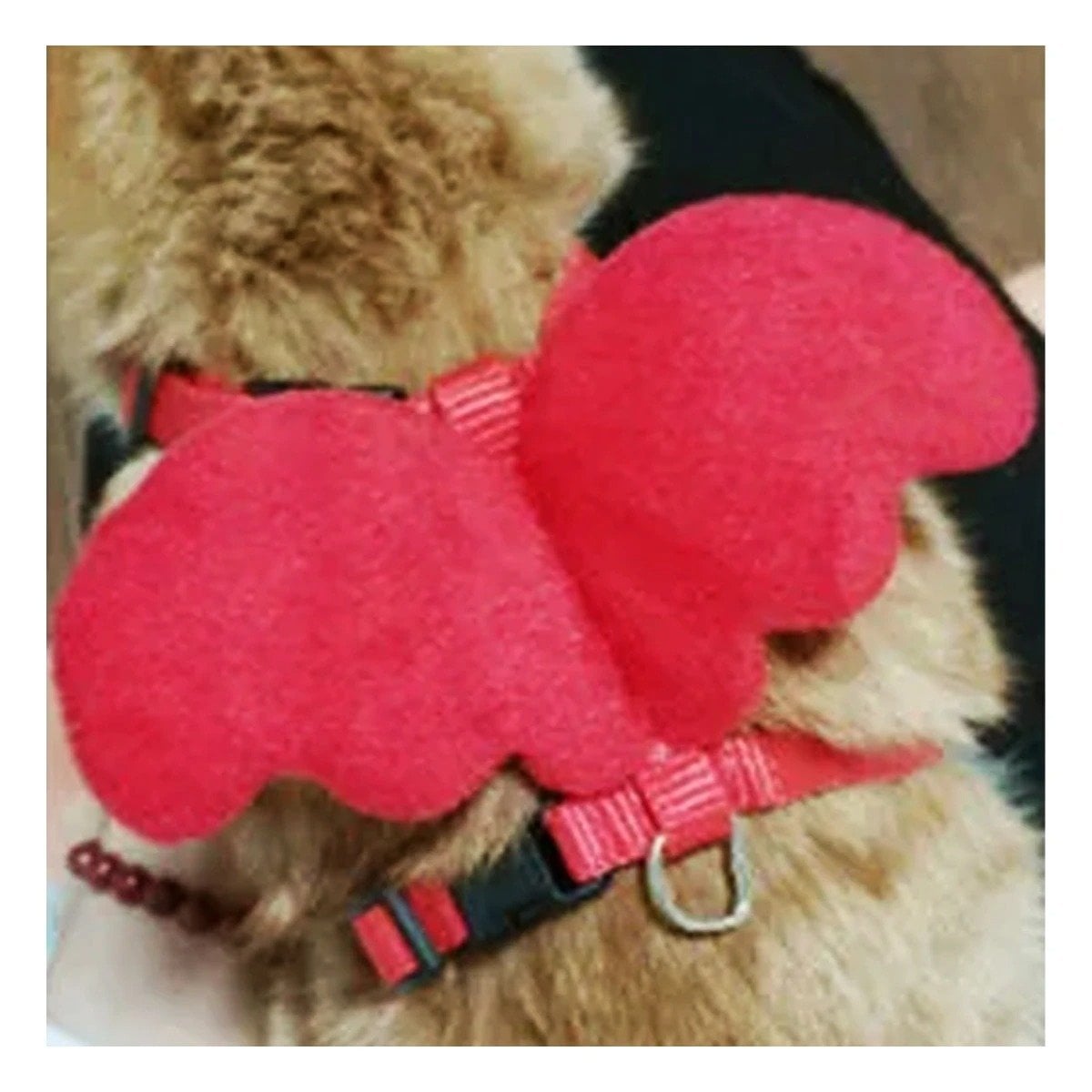 PACK4 CHALECO AJUSTABLE ROJO PET CON ALITAS PEQUENAS PARA PASEO Y+PAPEL REGALO - 5