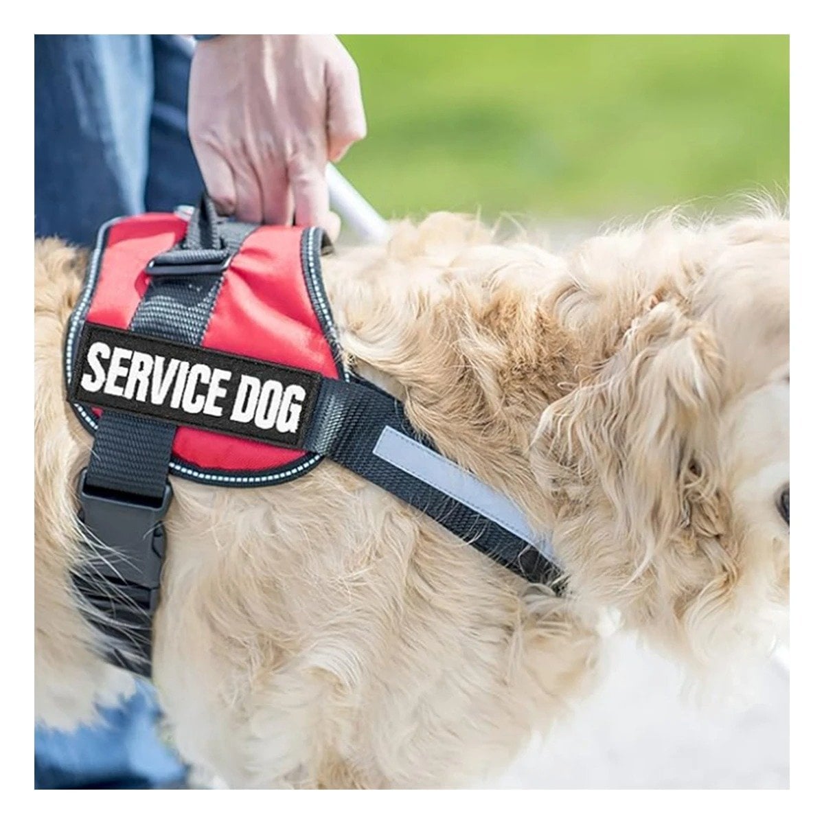 PACK2 PECHERA CON ASA DE MANEJO SERVICE DOG TALLA S ROJO - 2