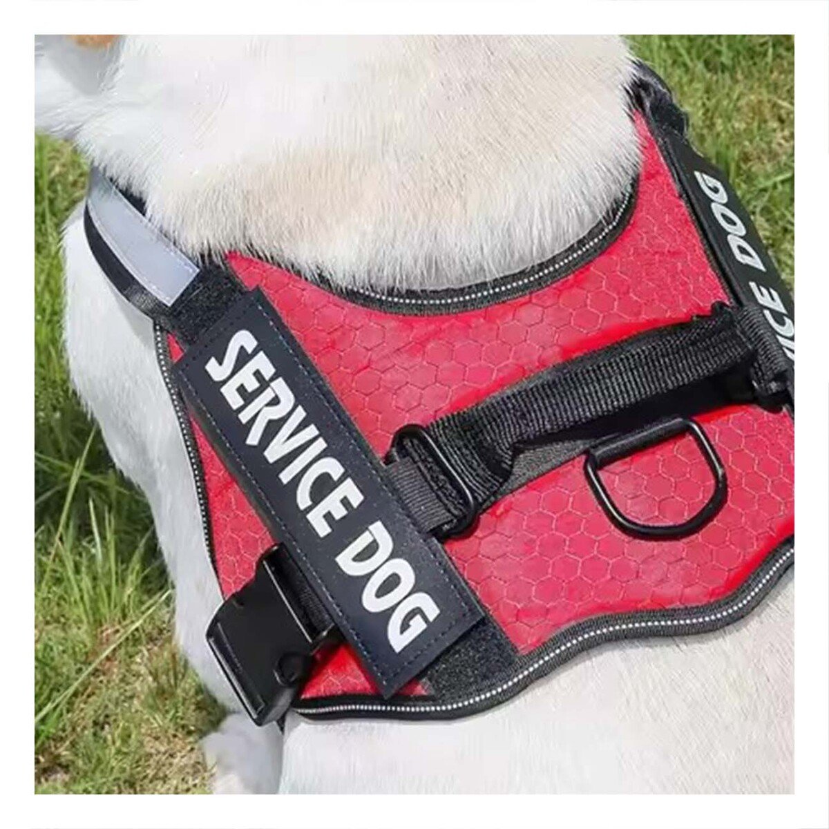 PACK2 PECHERA CON ASA DE MANEJO SERVICE DOG TALLA S ROJO - 5