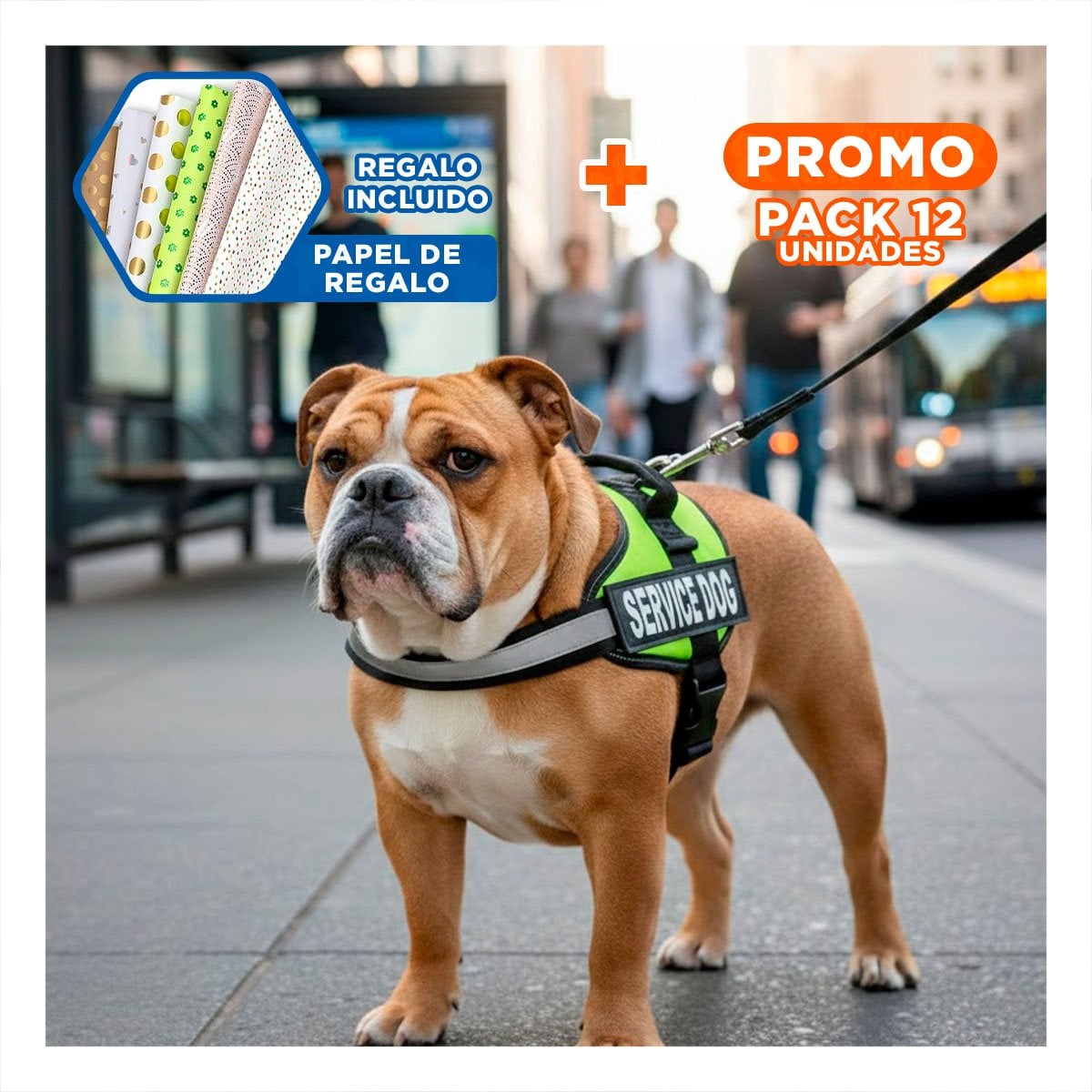 PACK12 EQUIPO PECHERA SERVICE DOG TALLA M VERDE PERRO ACTIVO Y+PAPEL REGALO - 1