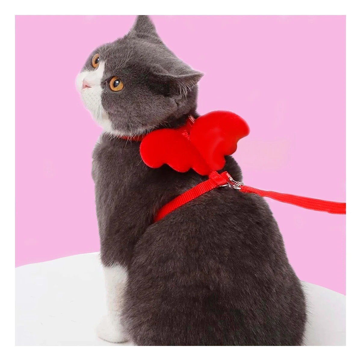 PACK4 ARNES REGULABLE ROJO PET CON ALITAS DECORATIVAS PEQUENAS - 2