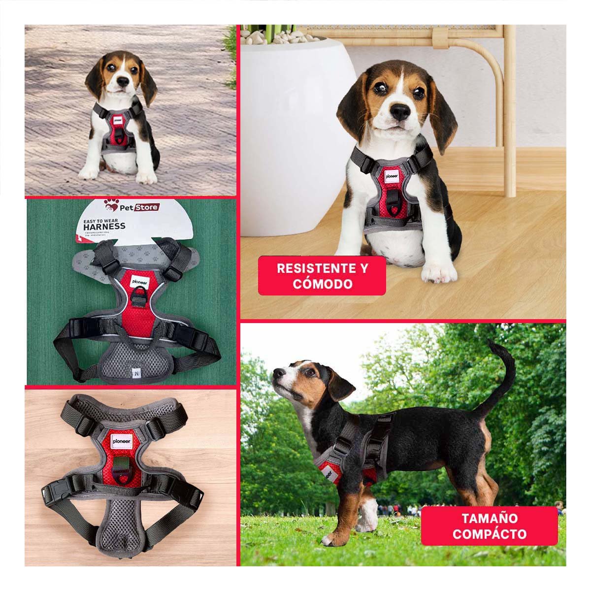 PACK4 ACCESORIO AJUSTABLE PARA PERRO ROJO TALLA S SEGURO Y+REGALO STICKER - 2