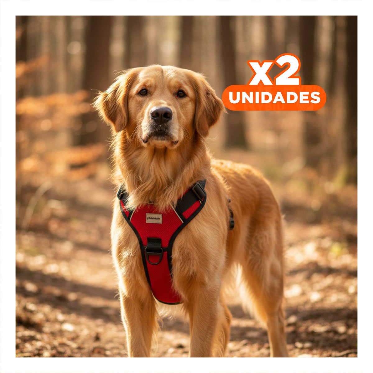 PACK2 CORREA CON PECHERA PARA MASCOTA ROJA TALLA L FACIL DE USAR Y+REGALO STICKER - 1