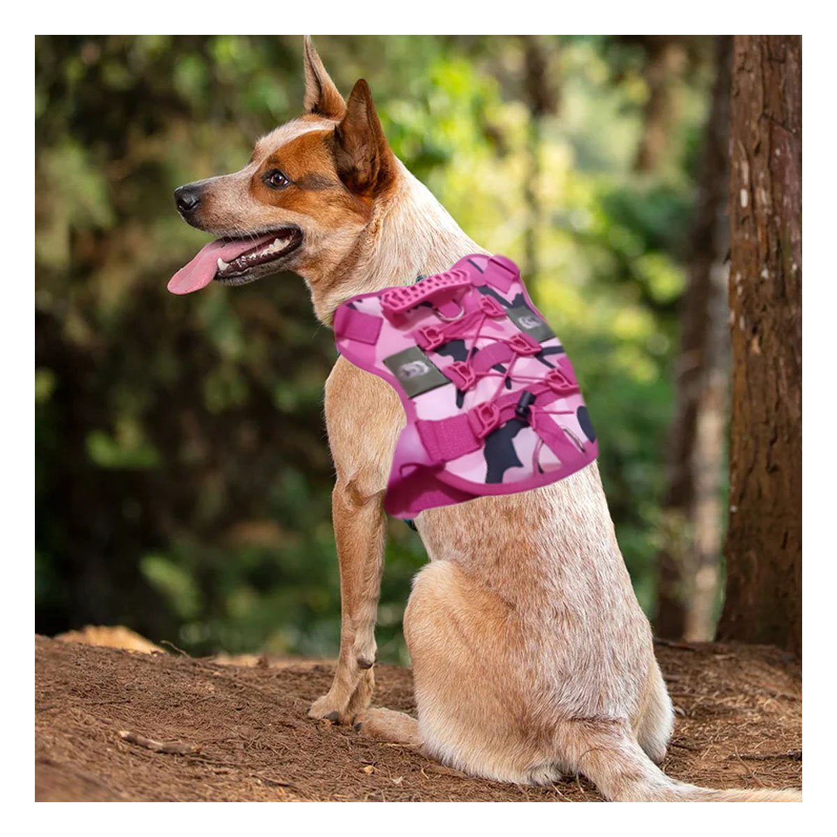 CHALECO PARA PERRO ROSADO TALLA L CON SUJECION SEGURA Y TELA RESISTENTE Y+LIGAS REGALO - 2