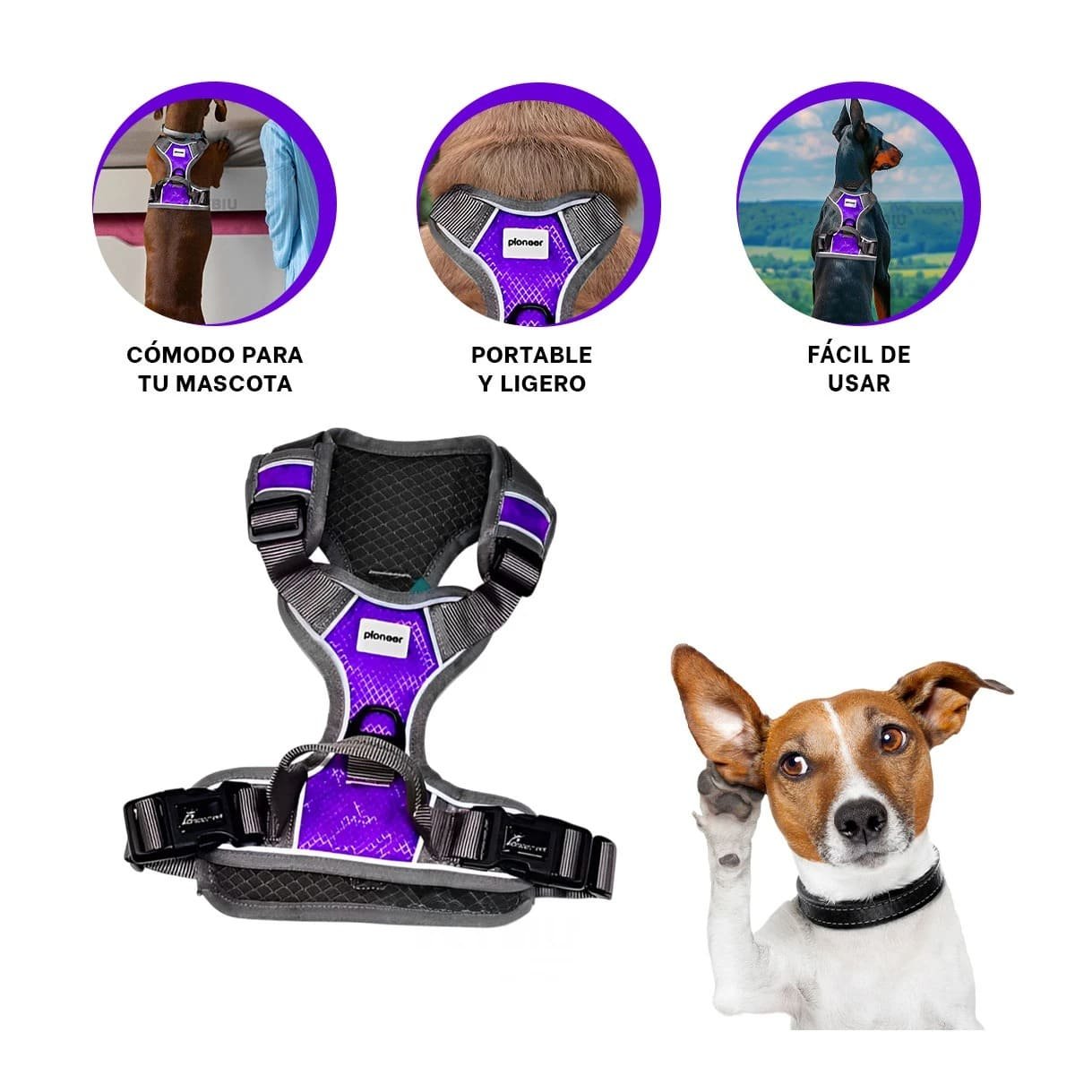 ARNES PARA PERRO MORADO TALLA XL CON HEBILLAS REFORZADAS Y SUAVE - 3