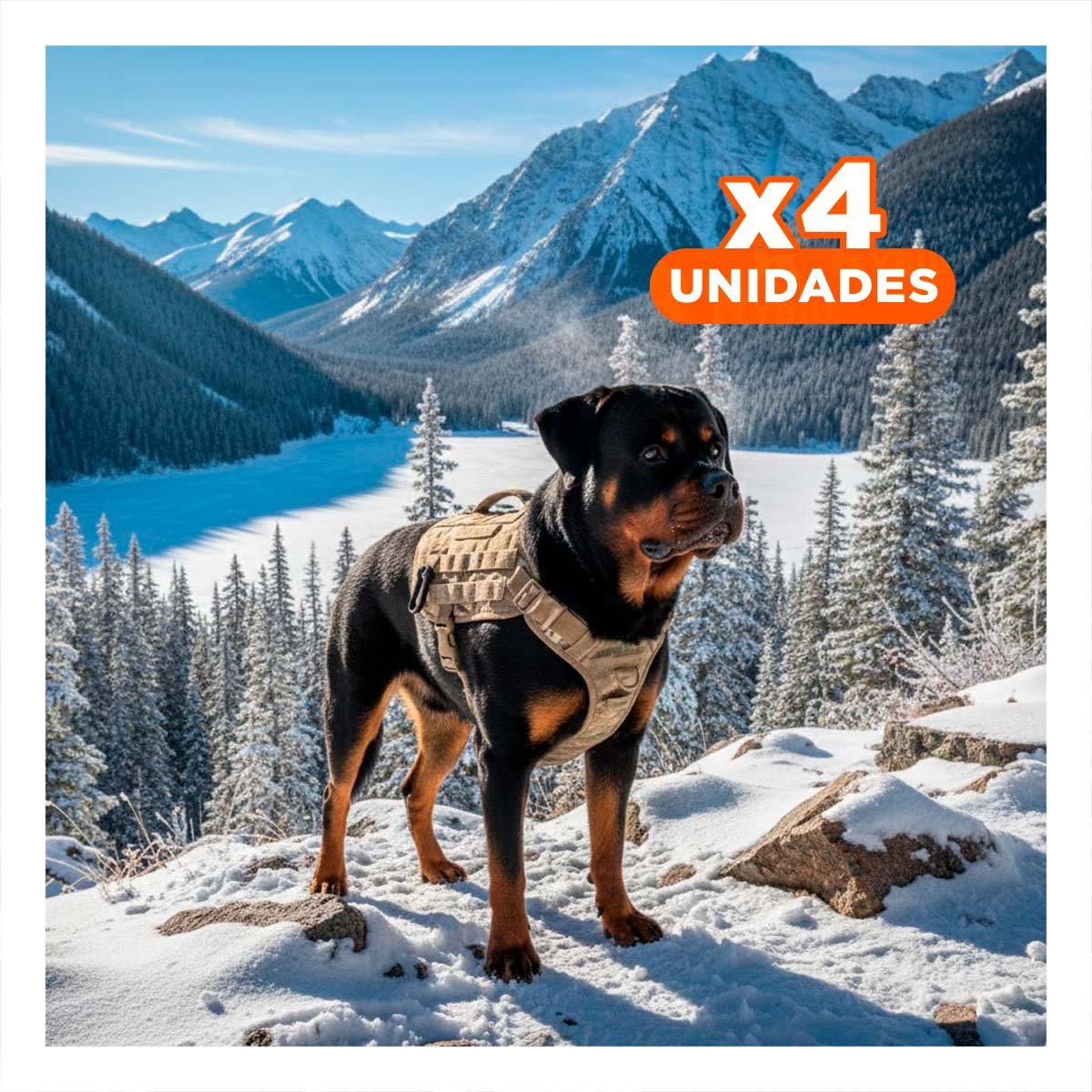 PACK4 PECHERA CON AJUSTE PARA PERRO VERDE CLARO TALLA XL COMODA Y DURADERA PARA SALIDAS - 1