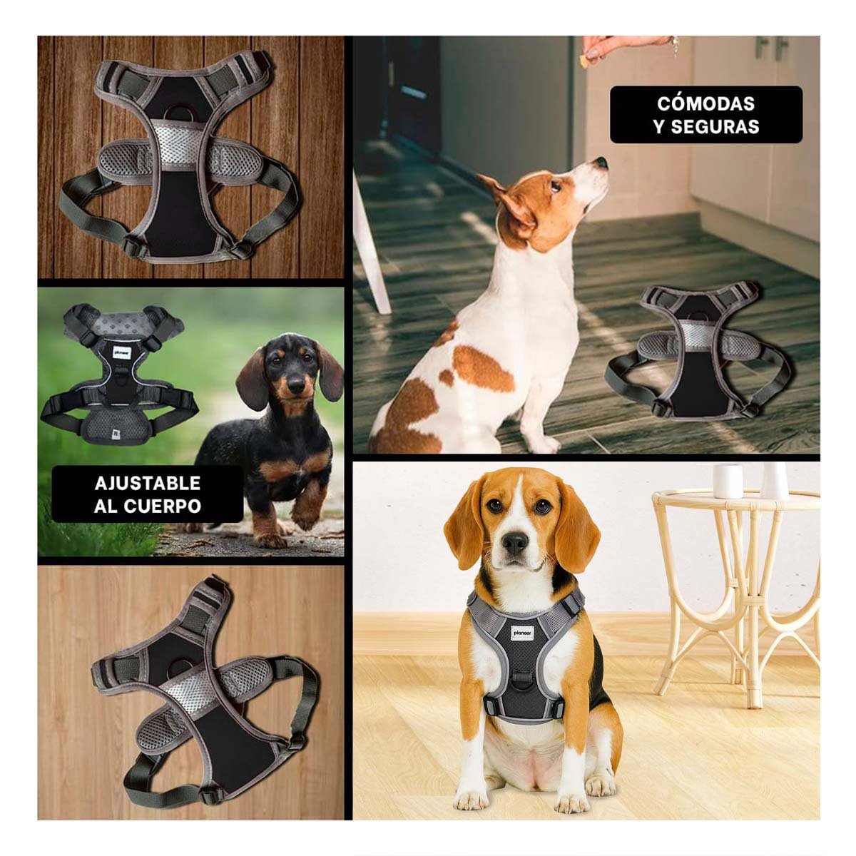 PACK4 PECHERA PARA PERRO NEGRO TALLA M CON AJUSTE SEGURO Y MATERIAL RESISTENTE Y+REGALO STICKER - 2