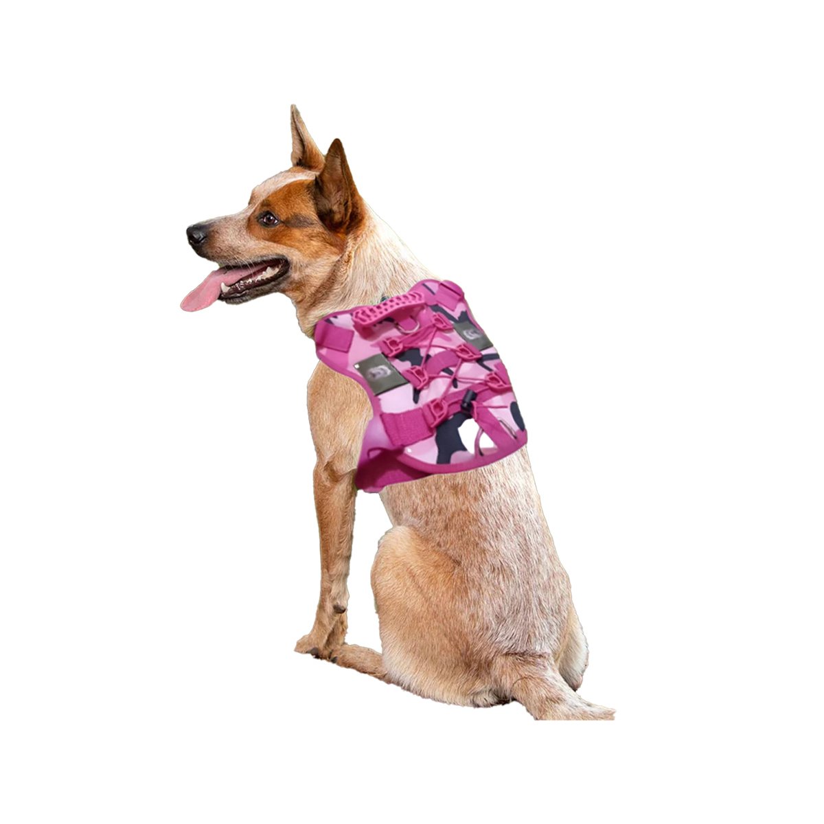 ARNES PARA PERRO ROSADO TALLA L CON ESTILO TACTICO Y FACIL COLOCACION Y+PAPEL REGALO - 1