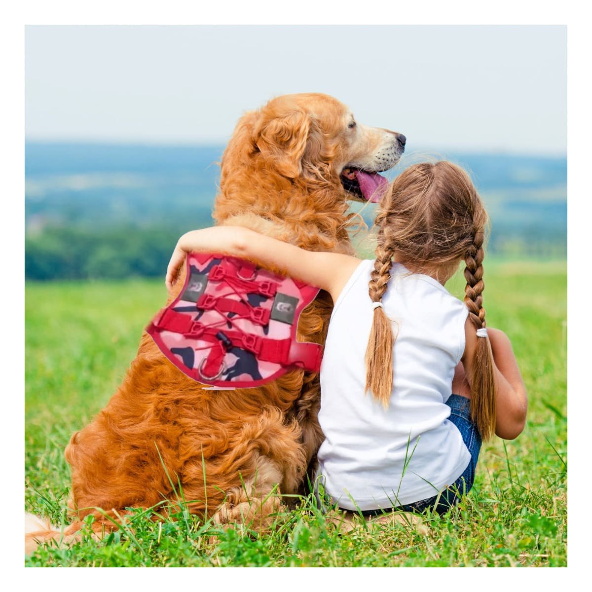VESTIMENTA PARA PERRO TACTICA ROJO AJUSTABLE Y RESISTENTE PARA PASEOS URBANOS Y+REGALO STICKER - 5