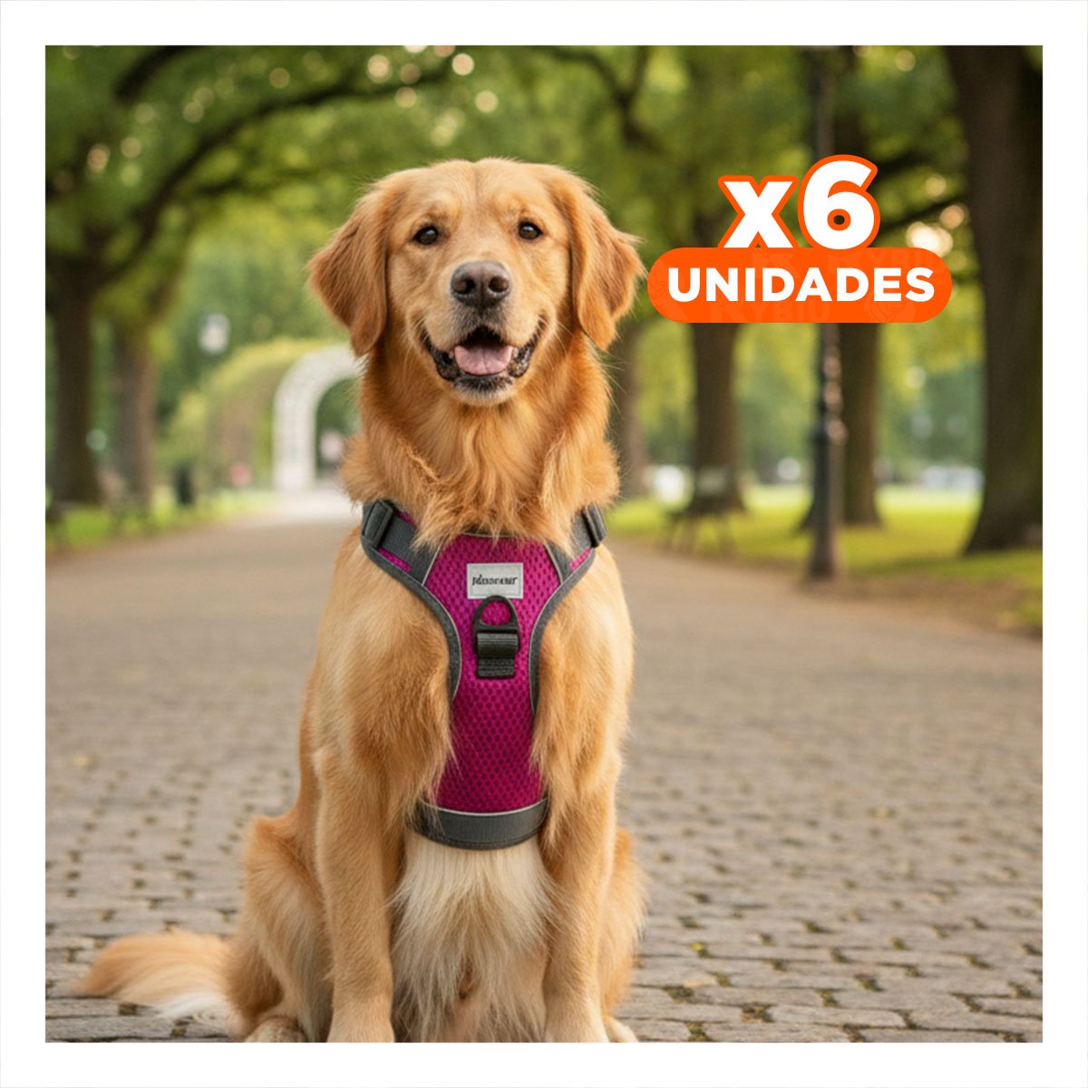 PACK6 CHALECO PARA PERRO FUCSIA TALLA L FACIL DE PONER Y QUITAR Y+REGALO STICKER - 1