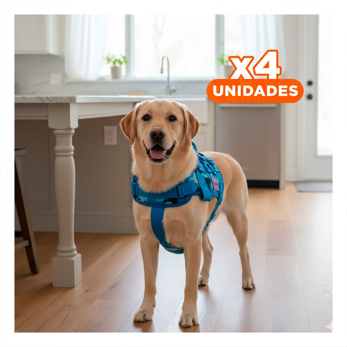 PACK4 CHALECO PARA MASCOTA AZUL CON SUJECION SEGURA Y COMODIDAD - 1