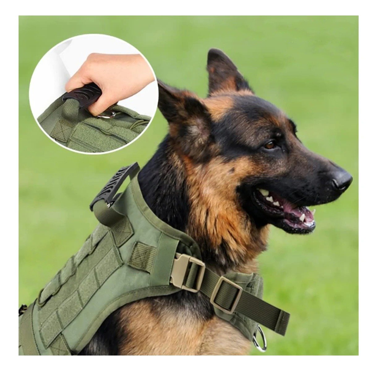 PACK4 CORREA PARA PERRO GRANDE VERDE OSCURO TALLA L PRACTICA Y SEGURA Y+PAPEL REGALO - 5
