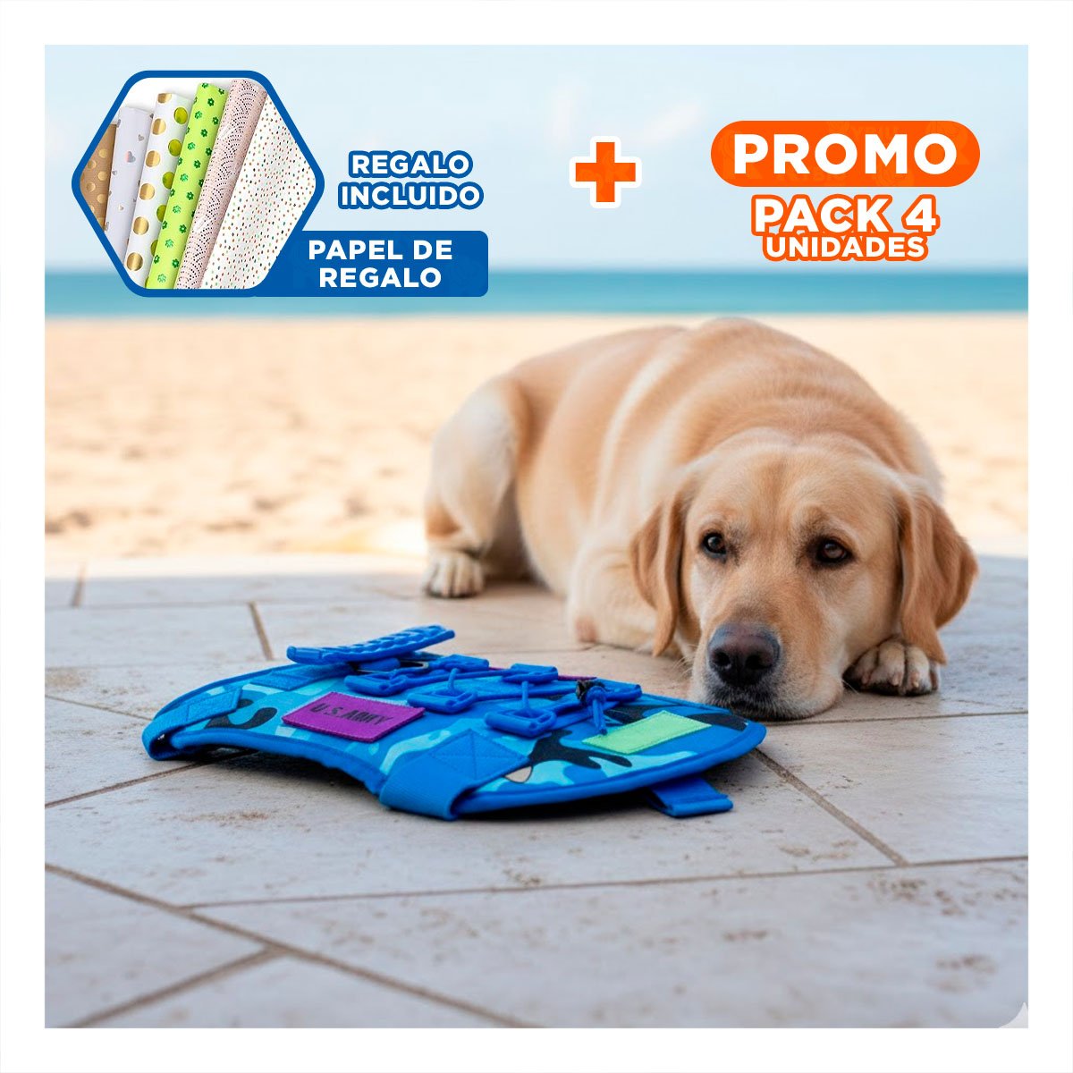 PACK4 EQUIPO PARA MASCOTA AZUL CON MATERIAL DURADERO Y AJUSTE COMODO Y+PAPEL REGALO - 1