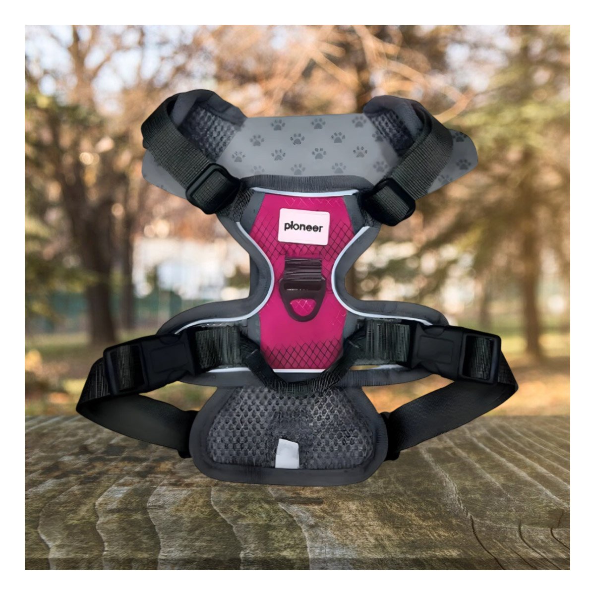 CORREA CON PECHERA PARA PERRO FUCSIA CON AJUSTE COMODO Y DURABLE Y+PAPEL REGALO - 5