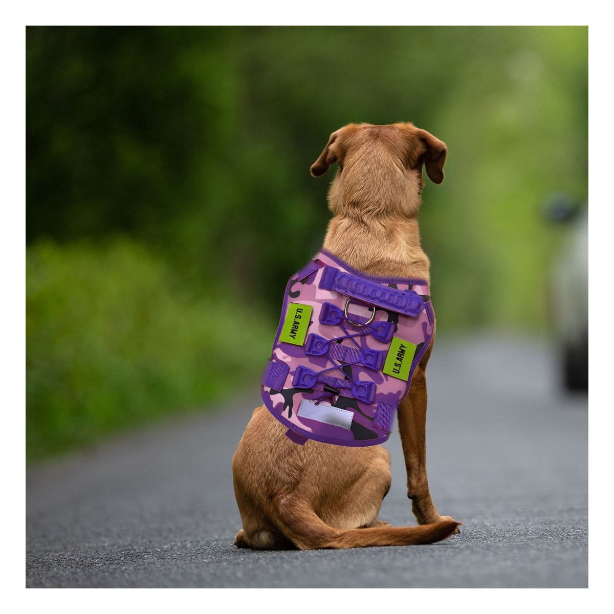 PACK2 PROTECTOR CHALECOS TACTICO PARA PERRO MORADO TALLA XL FACIL DE USAR Y+REGALO STICKER - 5