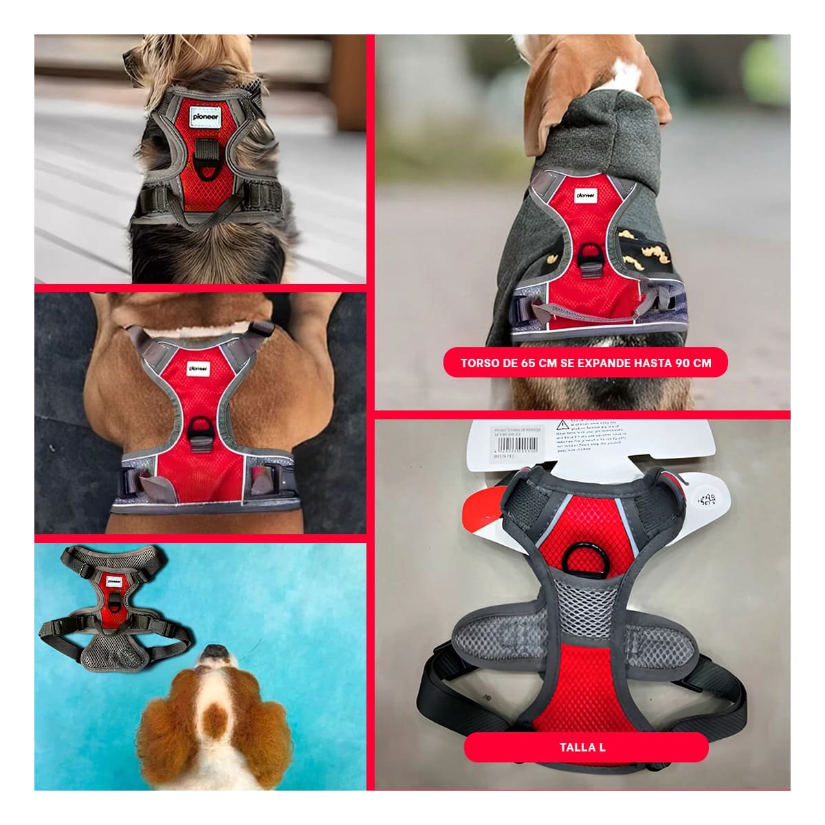 ARNES PARA ANIMAL ROJO TALLA L MATERIAL RESISTENTE Y LIGERO - 5
