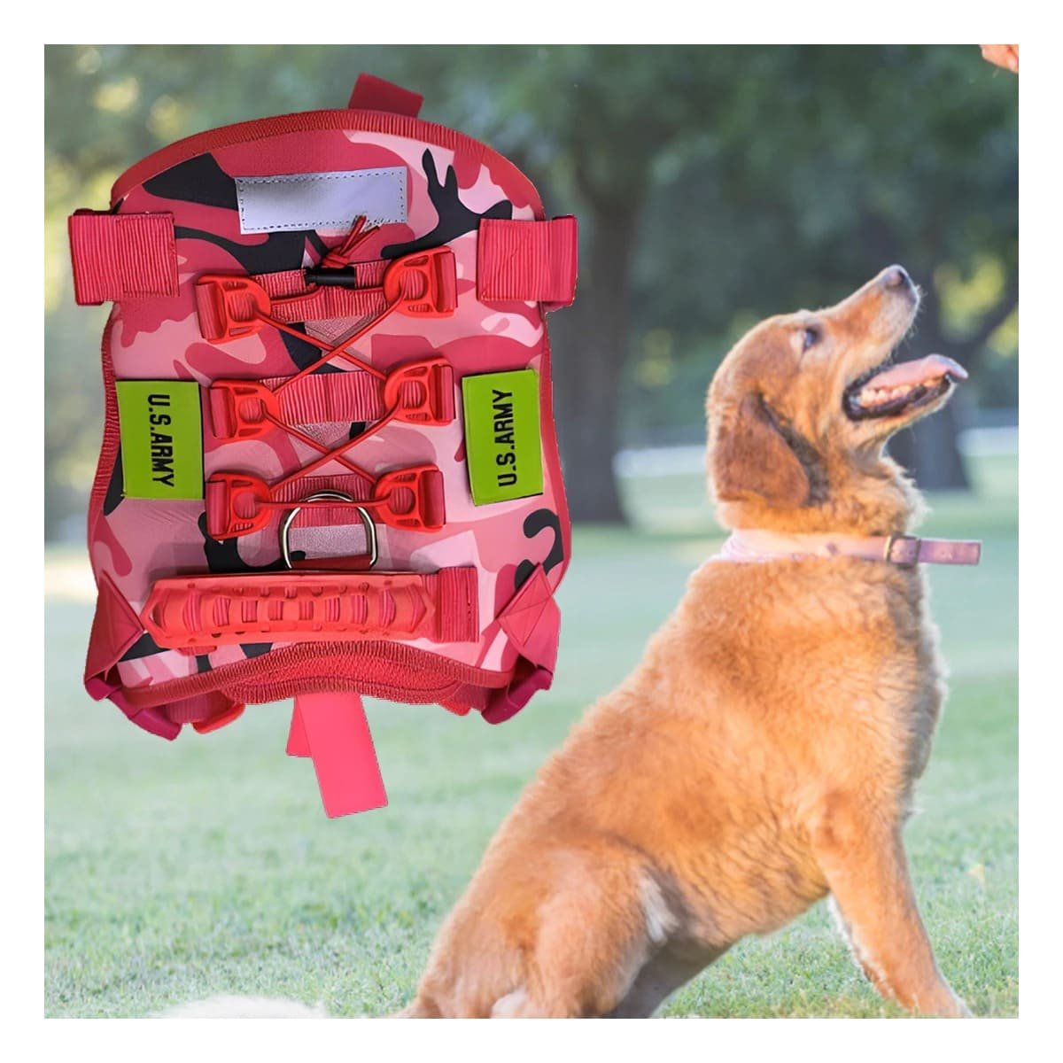 PACK6 PROTECCION PARA PERRO TACTICA ROJO LIGERA Y CONFORTABLE PARA SALIDAS - 3