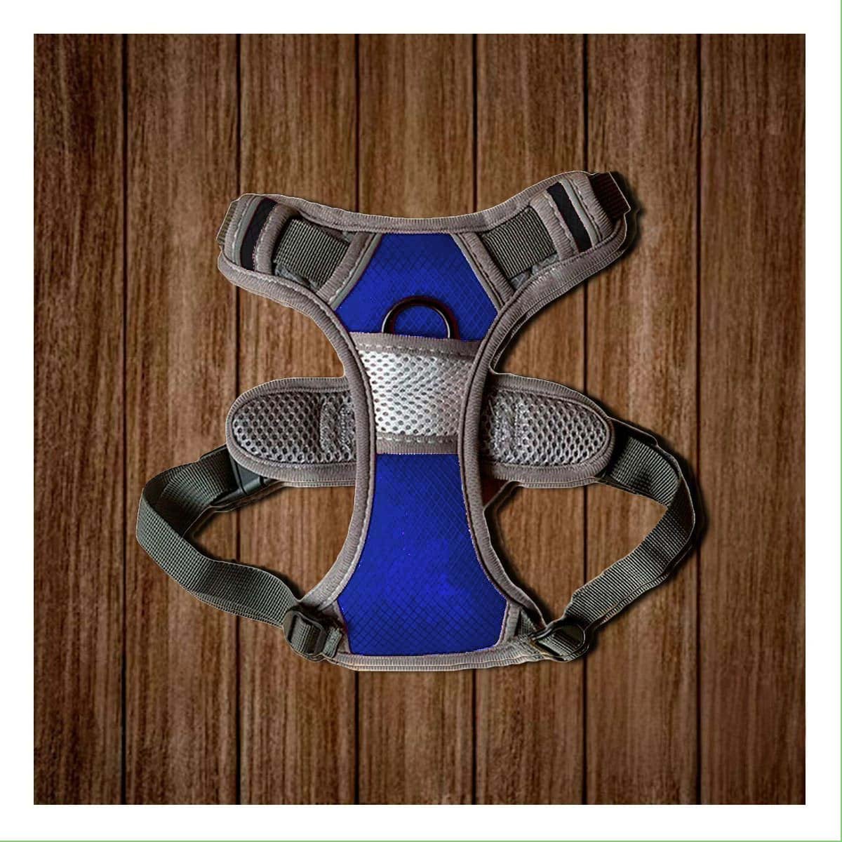 PACK2 CHALECO IMPERMEABLE PARA PERRO AZUL TALLA M IDEAL PARA LLUVIA - 5