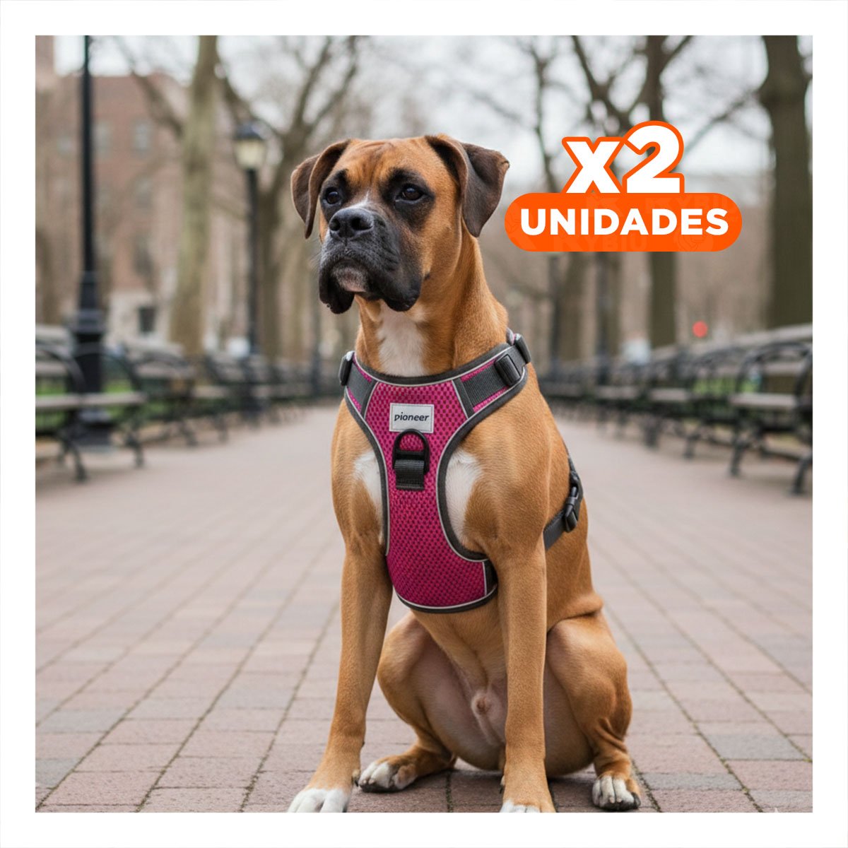 PACK2 ARNES PARA PERRO FUCSIA TALLA L AJUSTABLE Y SEGURO PARA CAMINATAS Y+REGALO STICKER - 1
