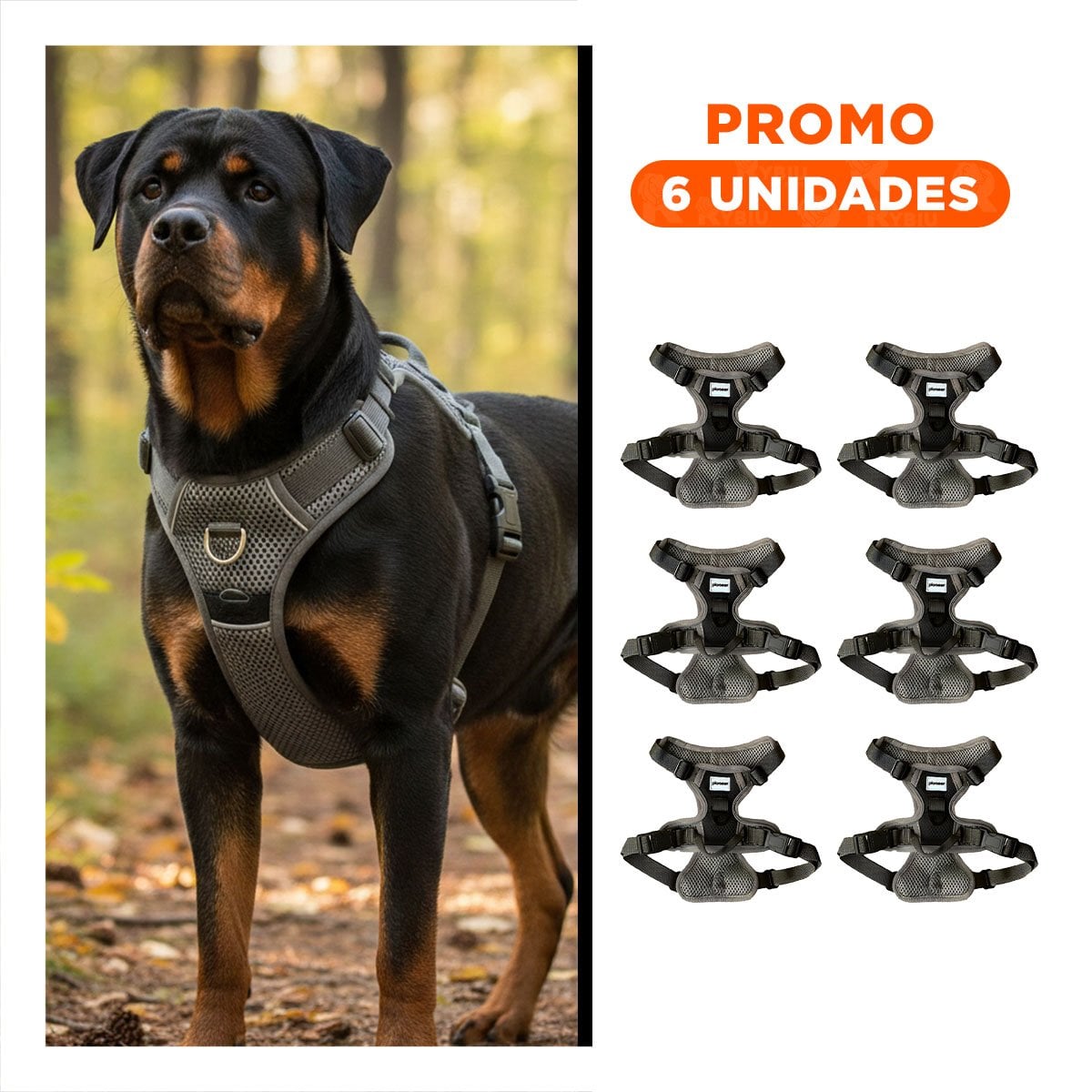 PACK6 EQUIPO PARA PERRO CON PECHERA DE ALTA CALIDAD Y CONFORTABLE - 1
