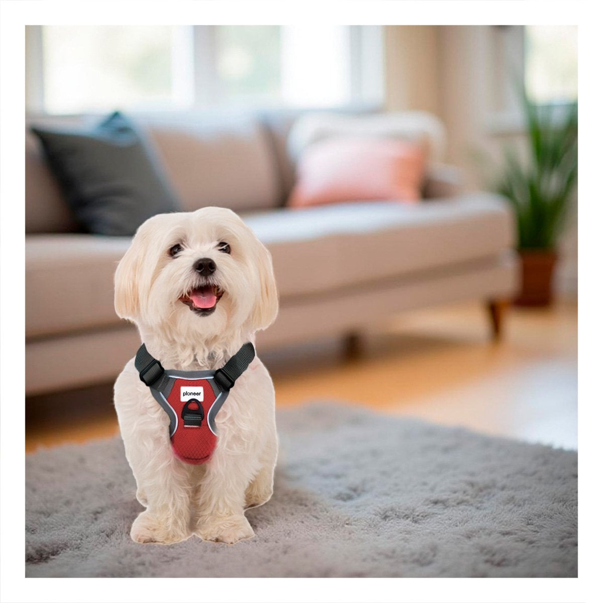 PACK2 ARNES DEPORTIVO PARA PERRO ROJO TALLA M PASEO SEGURO Y COMODO EN EXTERIOR - 2