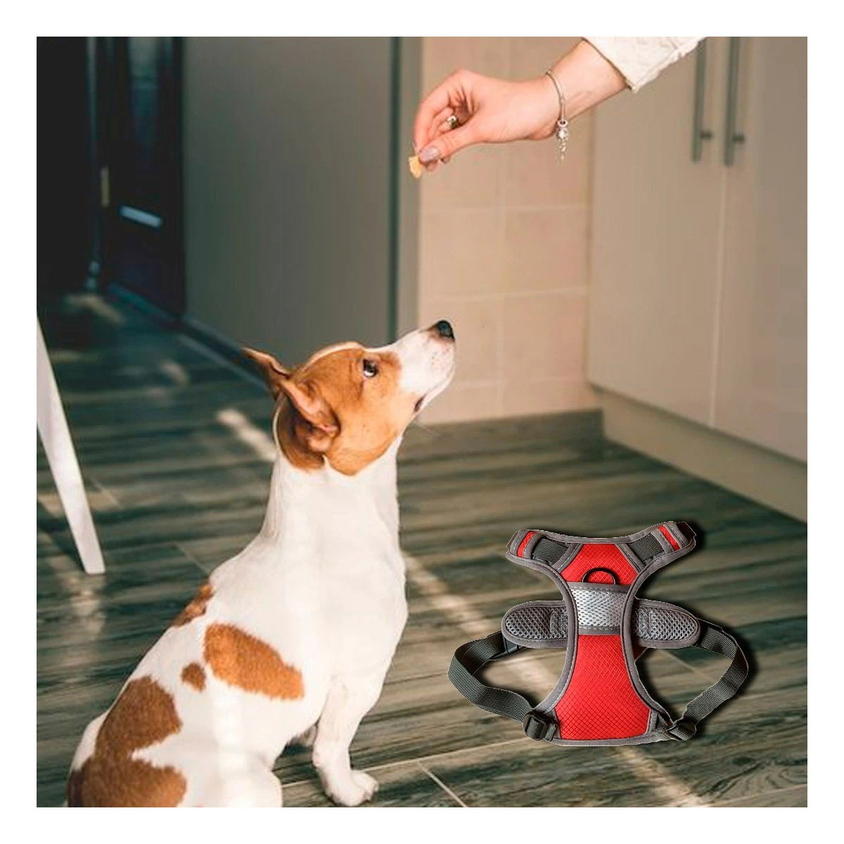 PACK2 ARNES DEPORTIVO PARA PERRO ROJO TALLA M PASEO SEGURO Y COMODO EN EXTERIOR - 5