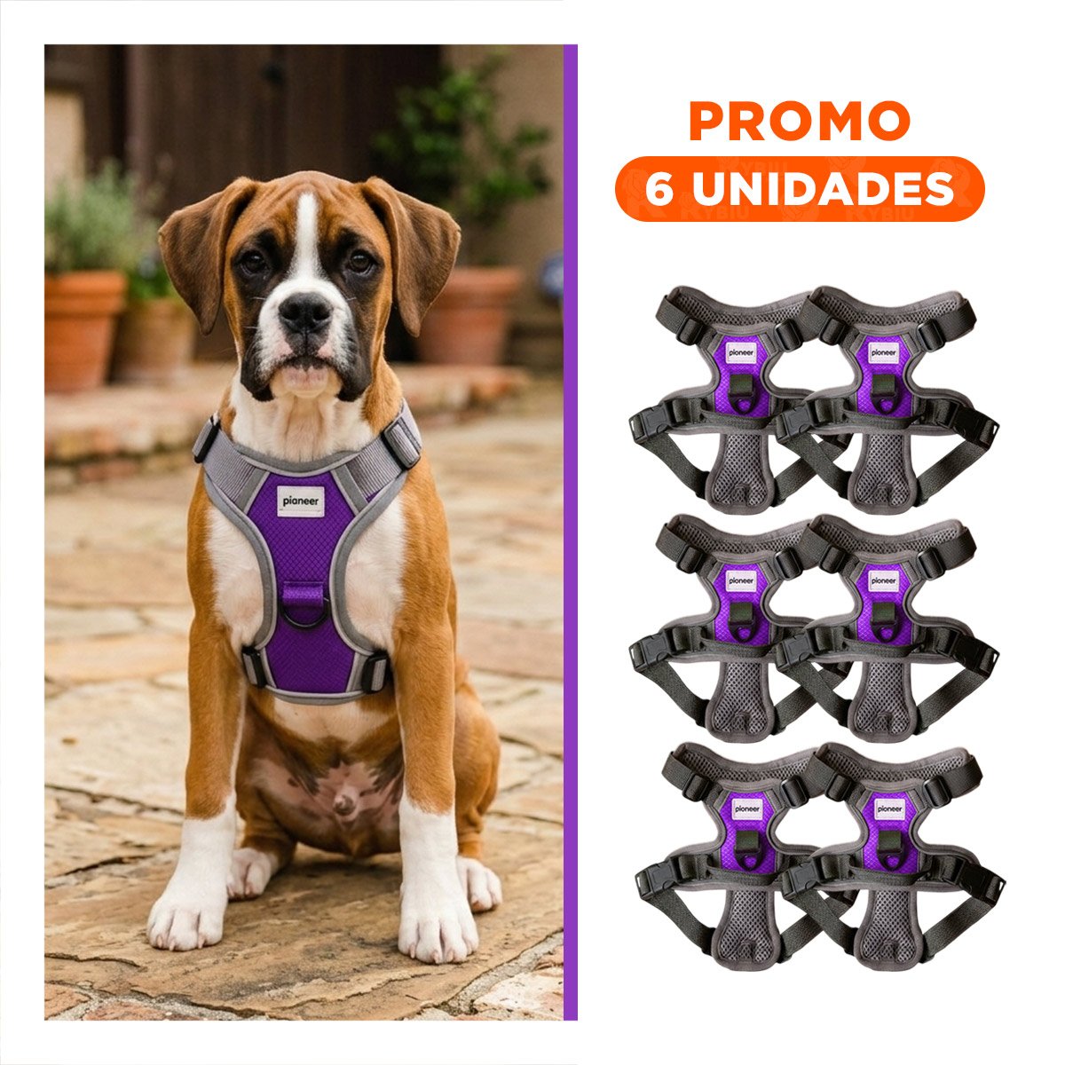 PACK6 CORREA DEPORTIVA PARA PERRO MORADO TALLA M FACIL DE USAR Y AJUSTAR - 1