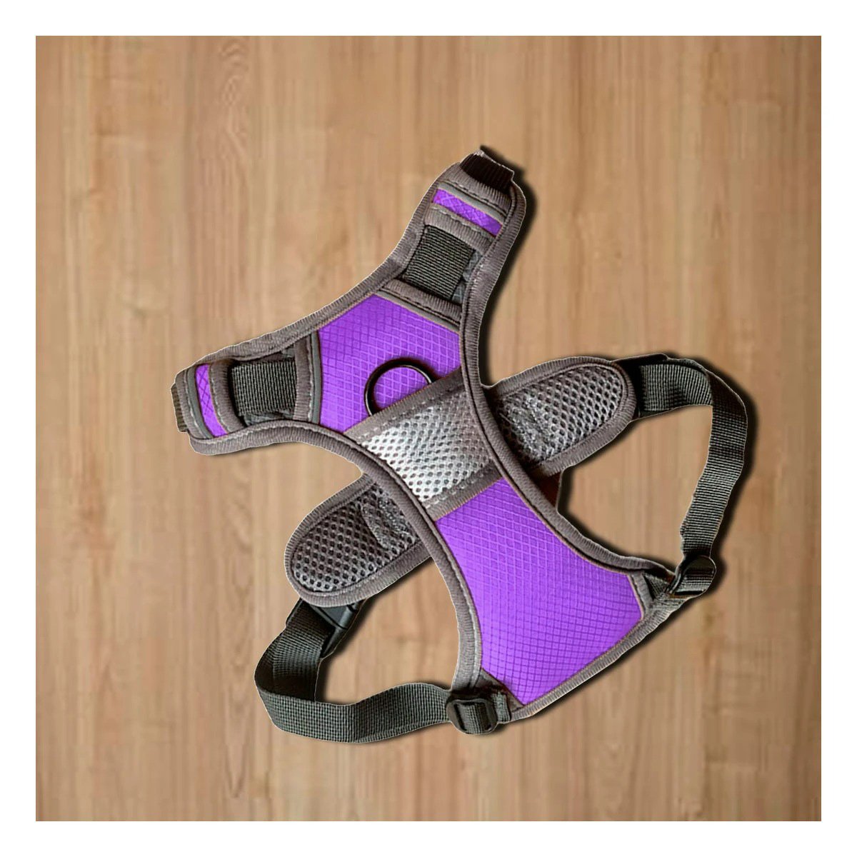 PACK6 CORREA DEPORTIVA PARA PERRO MORADO TALLA M FACIL DE USAR Y AJUSTAR - 2