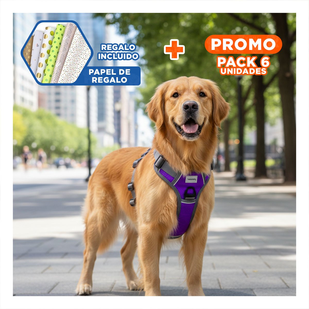 PACK6 CORREA PARA PERRO MORADO TALLA XL FACIL DE COLOCAR Y COMODO Y+PAPEL REGALO - 1
