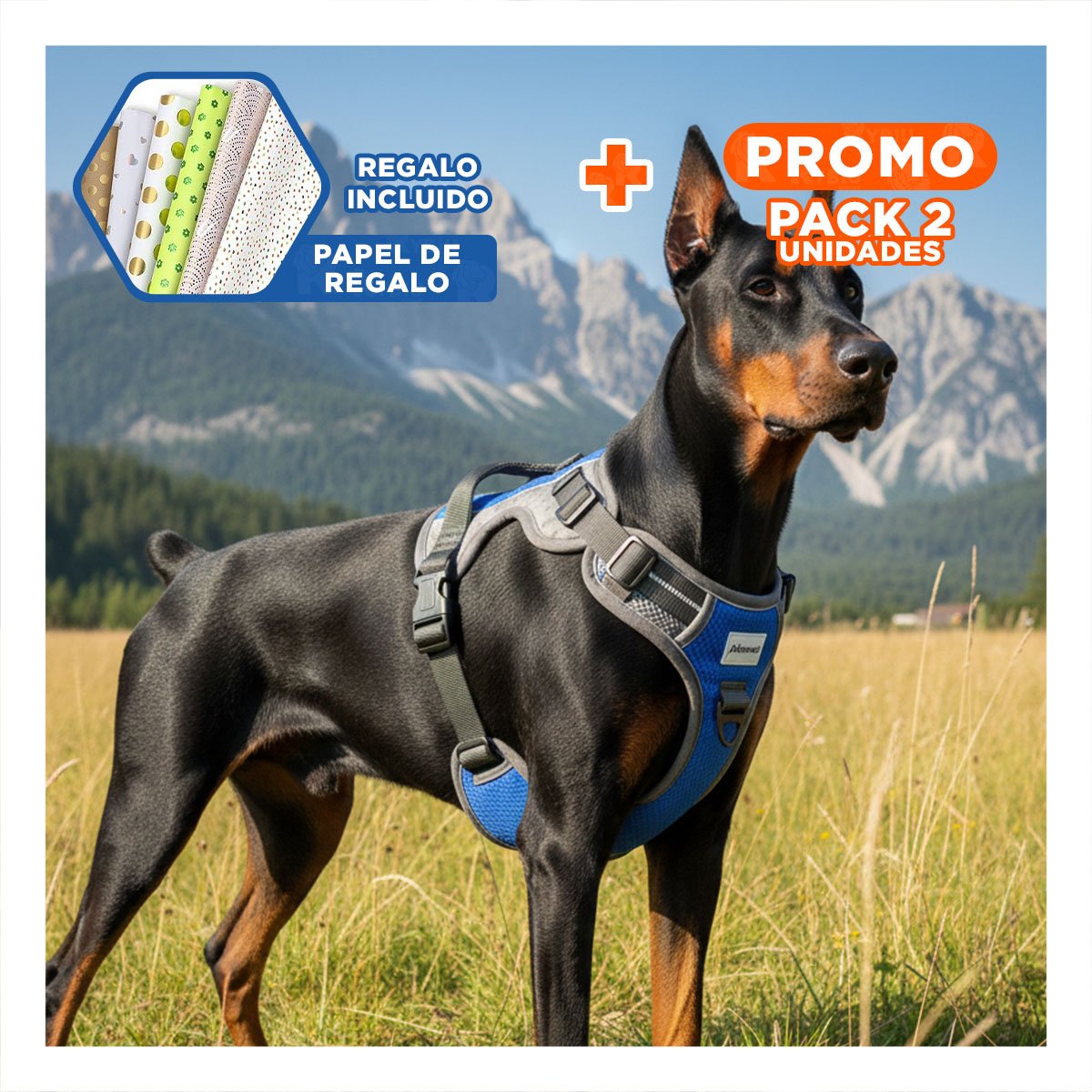 PACK2 EQUIPO PARA PERRO AZUL TALLA XL SEGURO Y COMODO PARA PASEO Y+PAPEL REGALO - 1