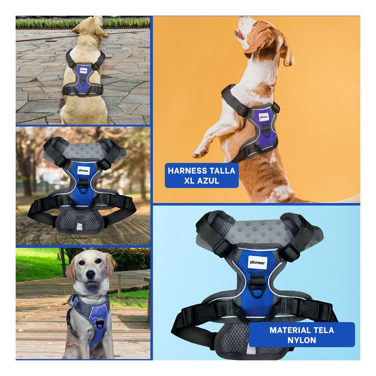 PACK2 EQUIPO PARA PERRO AZUL TALLA XL SEGURO Y COMODO PARA PASEO Y+PAPEL REGALO - 3