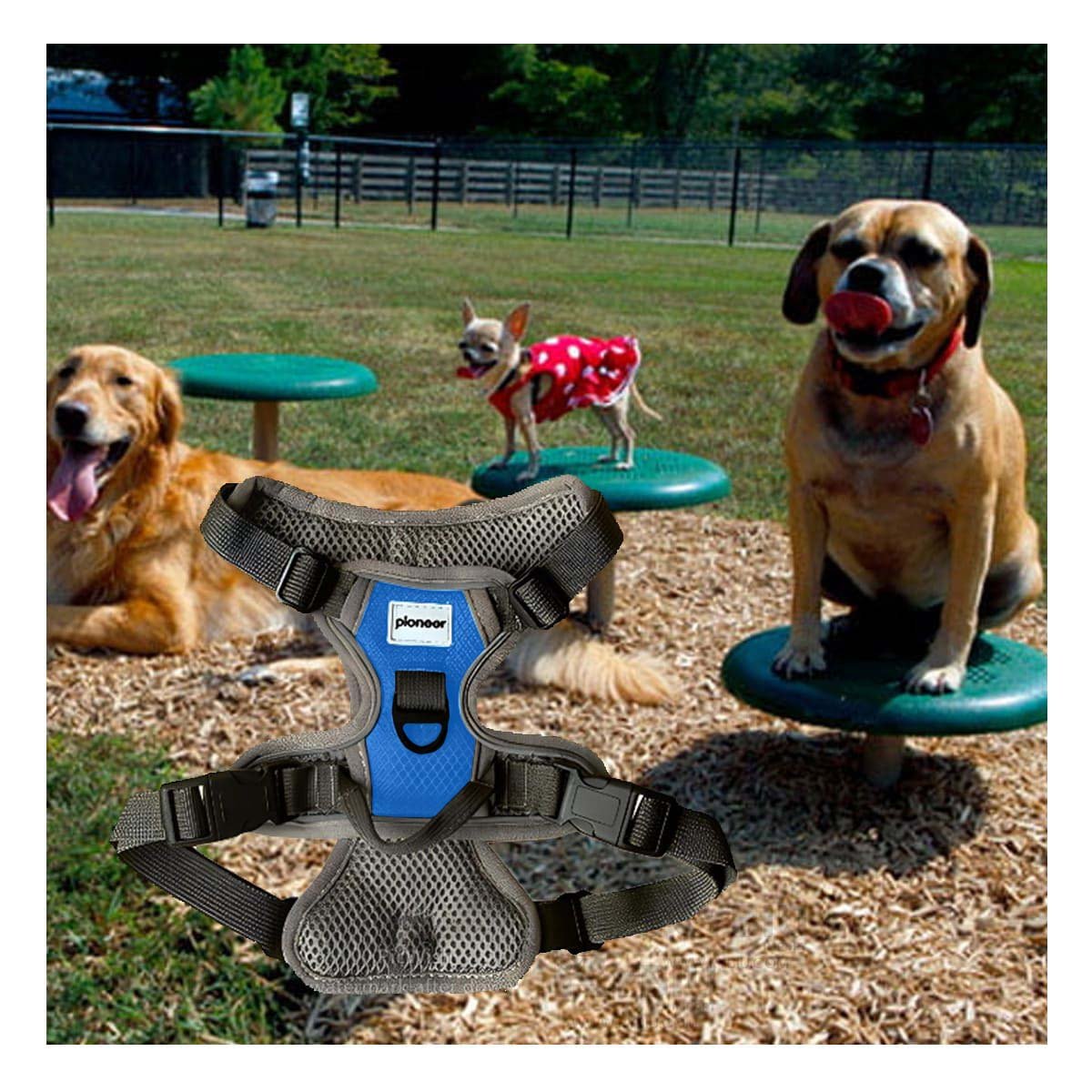 PECHERA ANTITIRONES PARA PERRO AZUL TALLA M COMODA Y AJUSTABLE - 1