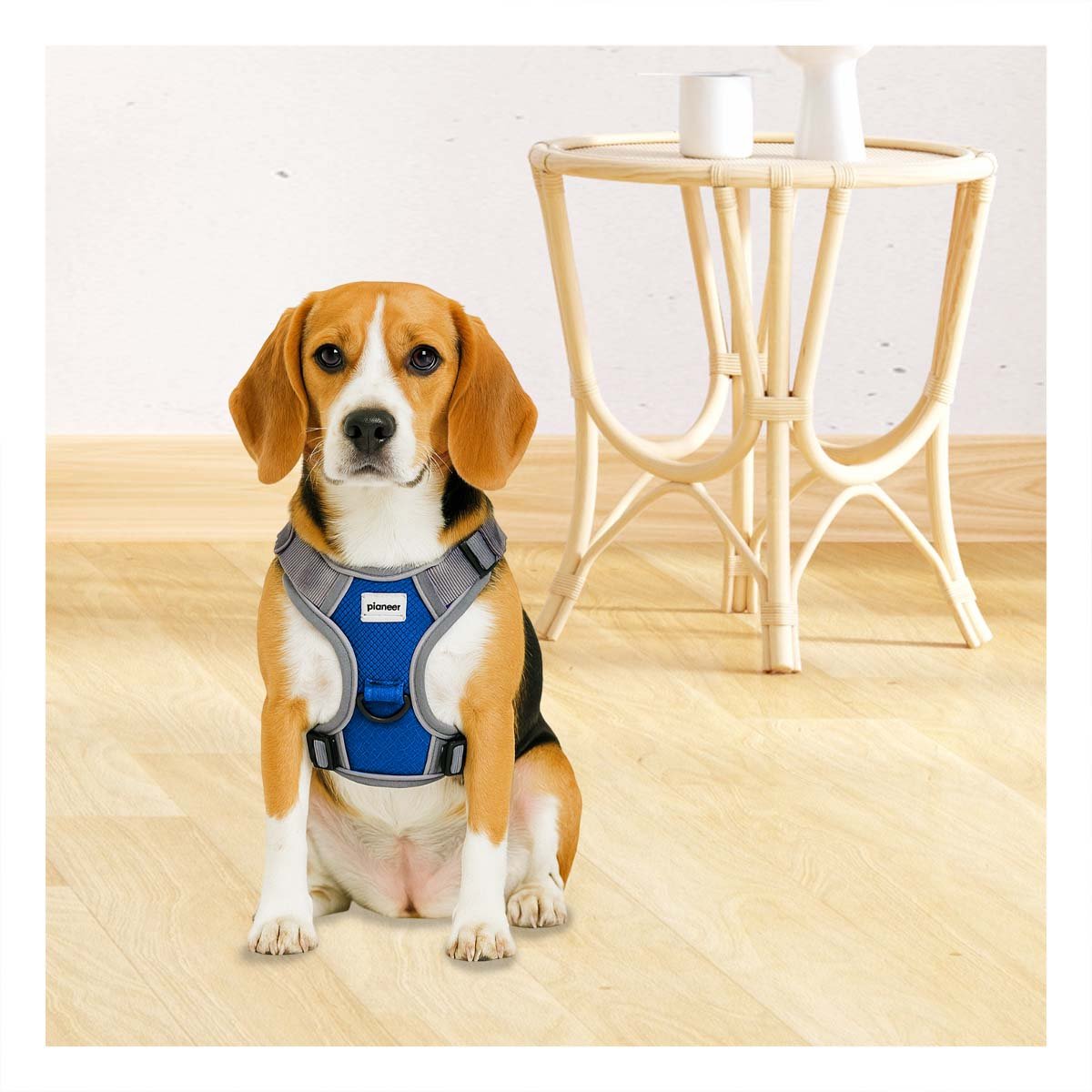 PECHERA ANTITIRONES PARA PERRO AZUL TALLA M COMODA Y AJUSTABLE - 2