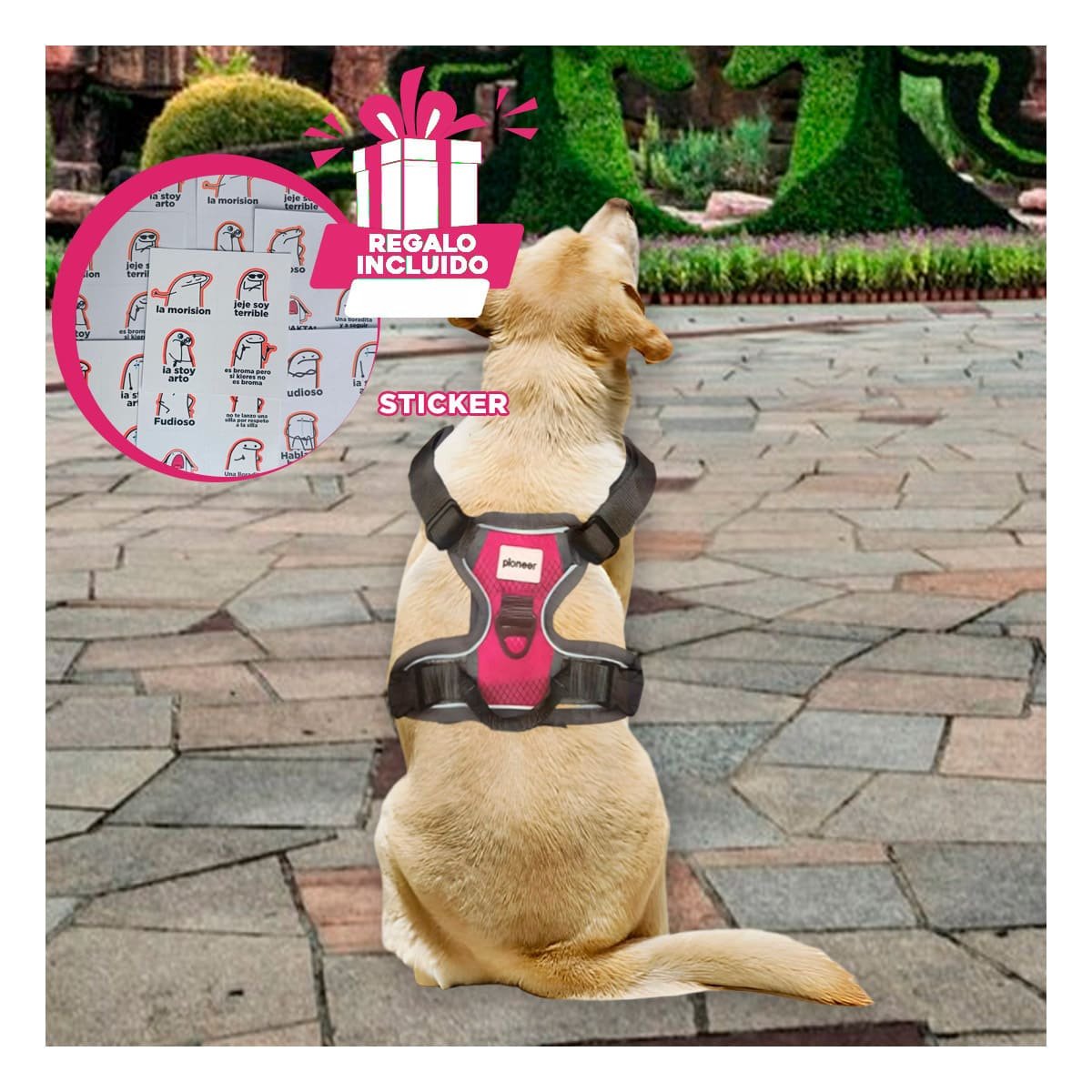 FAJA PARA MASCOTA AJUSTABLE CON TELA RESISTENTE Y SUJECION CONFORTABLE Y+REGALO STICKER - 1
