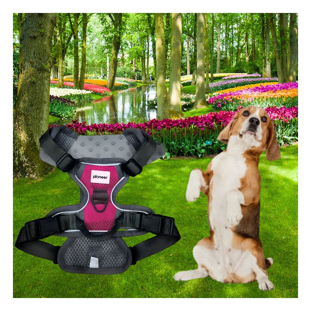FAJA PARA MASCOTA AJUSTABLE CON TELA RESISTENTE Y SUJECION CONFORTABLE Y+REGALO STICKER - 5