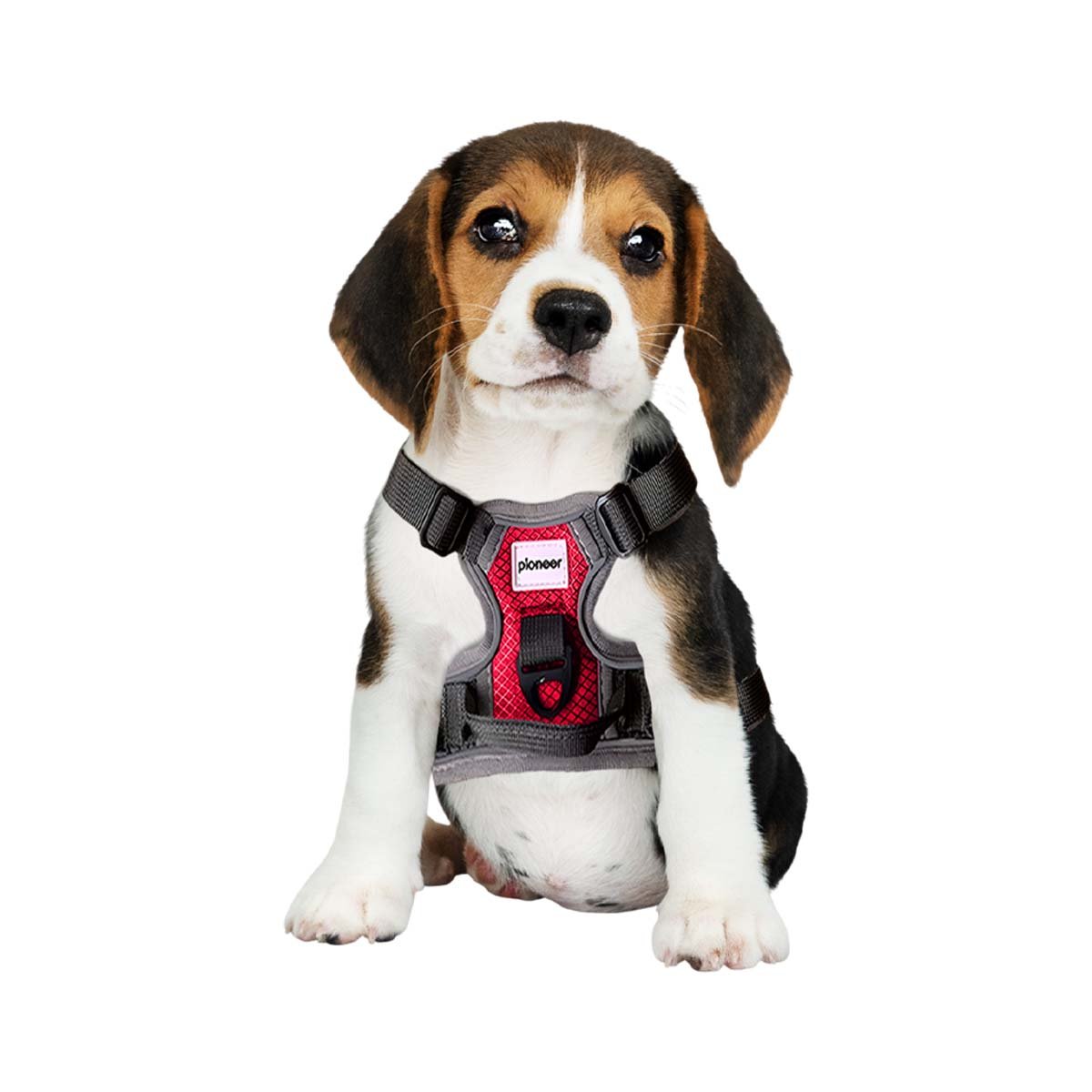 PACK4 ARTICULO AJUSTABLE PARA PERRO ROJO TALLA S COMODO Y+PAPEL REGALO - 3