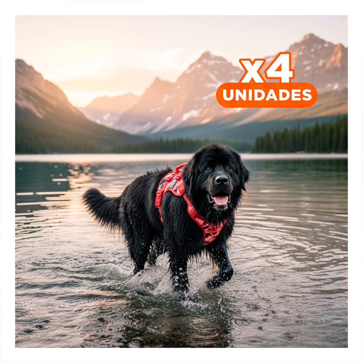 PACK4 CHALECO CHALECOS TACTICO PARA PERRO ROJO CONFORTABLE Y DURADERO PARA CAMINAR - 1