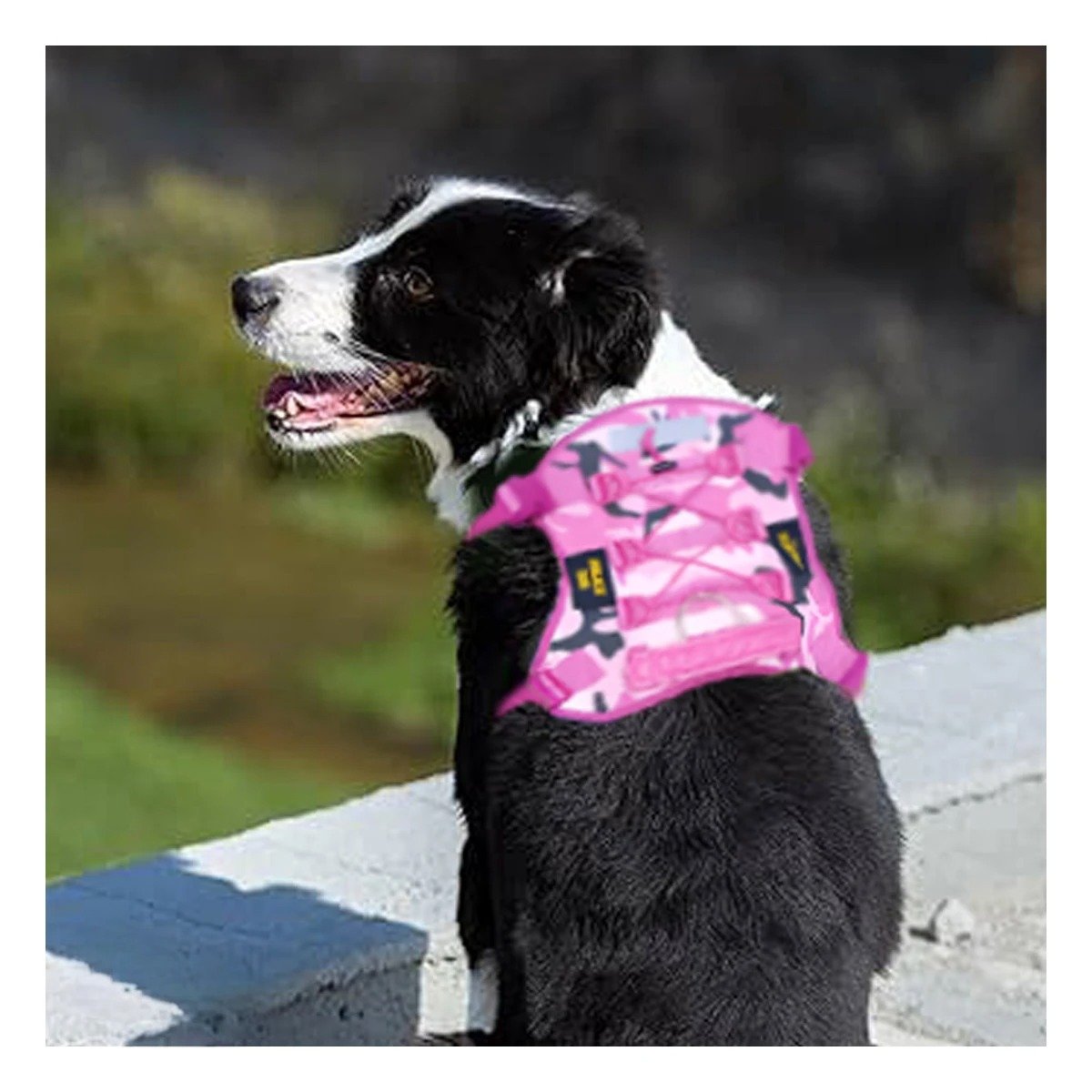 PACK2 PECHERA PARA PERRO ROSADO TALLA L CON ESTILO ELEGANTE Y COMODIDAD PARA PASEO - 3