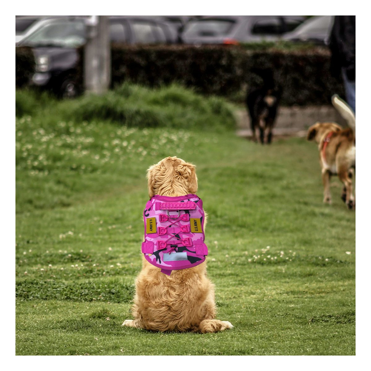 PACK2 PECHERA PARA PERRO ROSADO TALLA L CON ESTILO ELEGANTE Y COMODIDAD PARA PASEO - 5