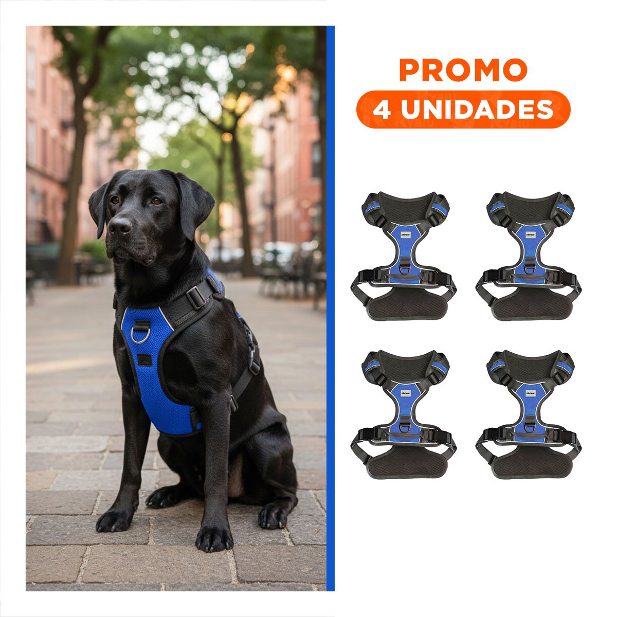 PACK4 ARNES PARA PERRO AZUL TALLA L COMODO RESISTENTE Y AJUSTABLE Y+REGALO STICKER - 1