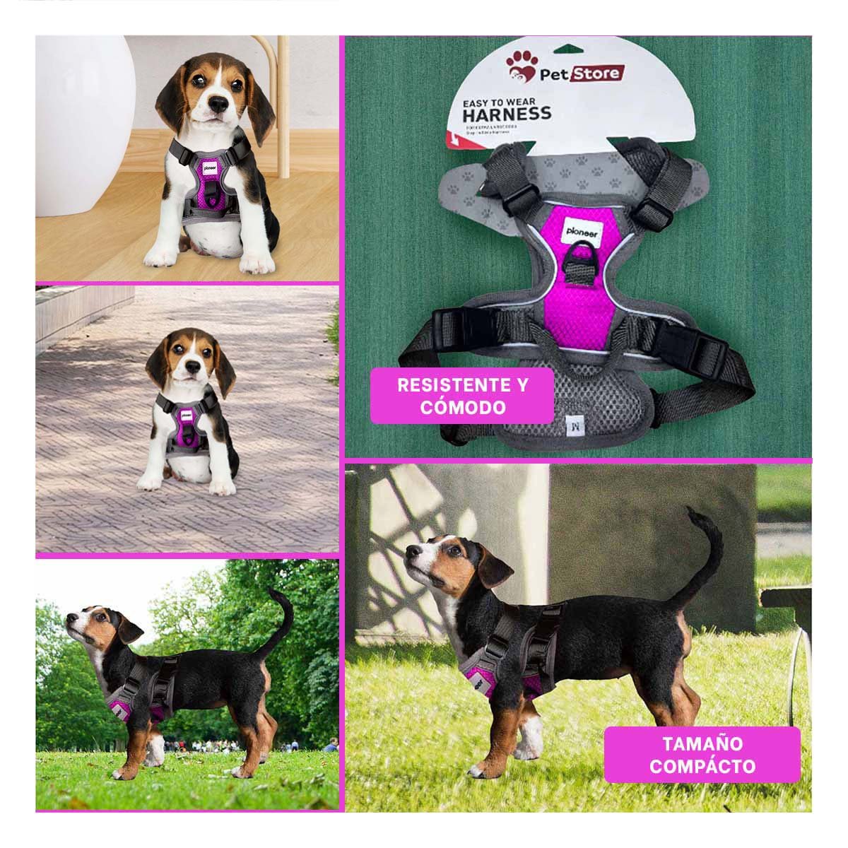 PACK4 SISTEMA DE PASEO PARA PERRO FUCSIA TALLA S RESISTENTE Y LIGERO Y+REGALO STICKER - 2