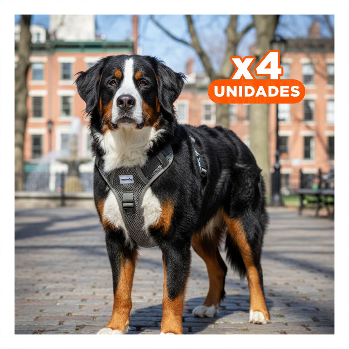 PACK4 SUJECION PARA PERRO NEGRO TALLA L FACIL DE COLOCAR Y SEGURO PARA CAMINATA - 1