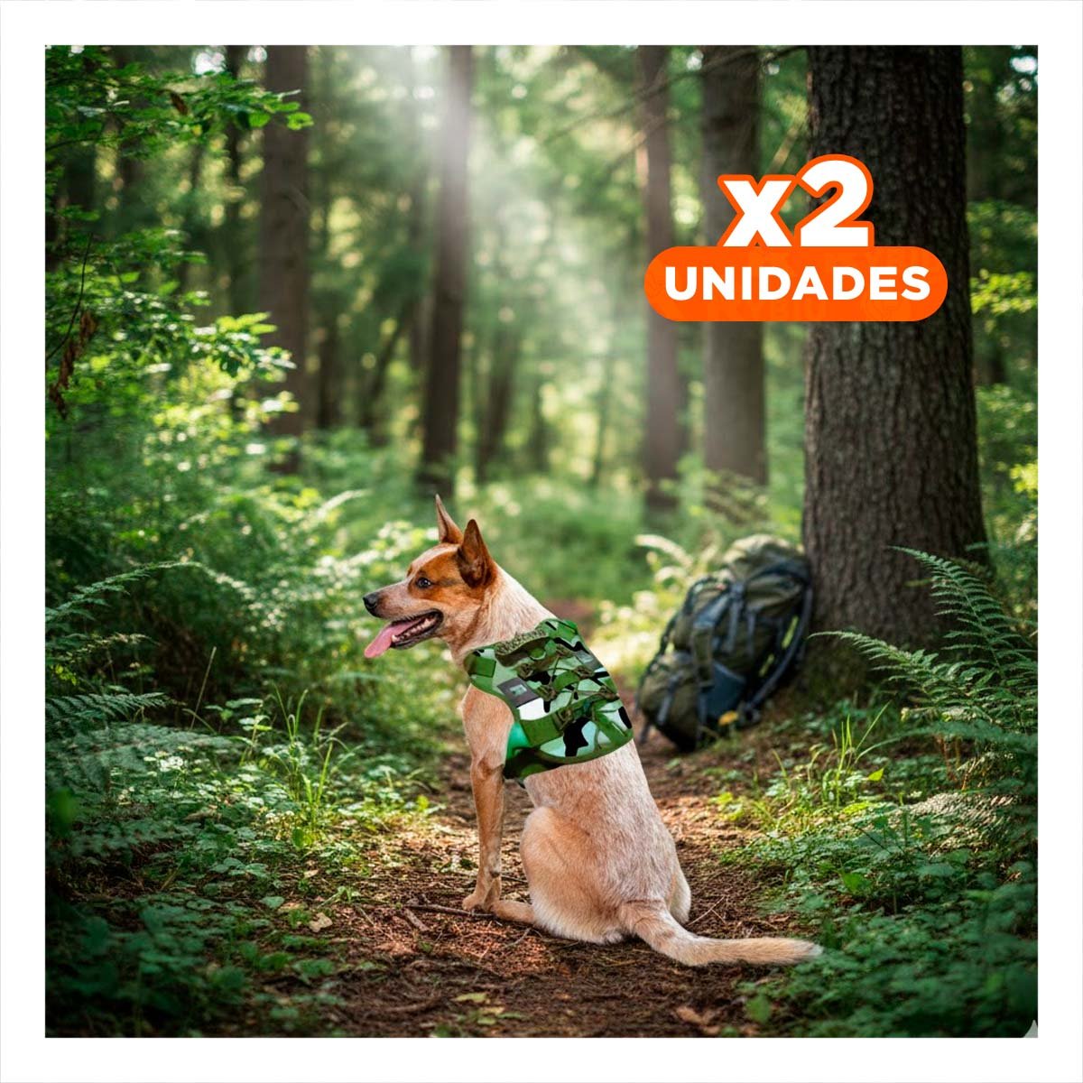 PACK2 CHALECO PARA PERRO VERDE OSCURO PECHERA TACTICA USO DIARIO Y PASEO Y+REGALO STICKER - 1